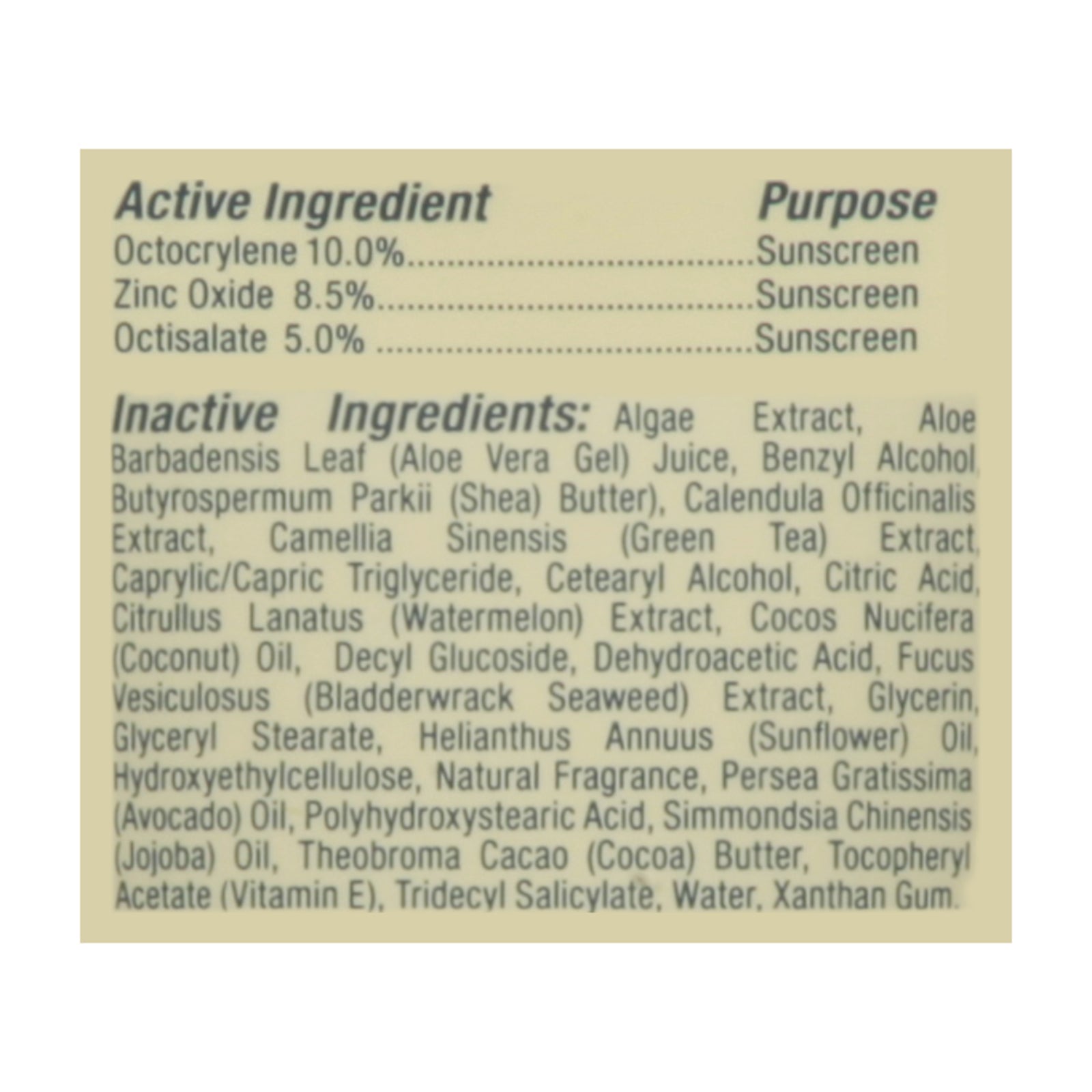 The Seaweed Bath Co - Snscrn Act Def Sprt Spf50 - 1 Each-3.4 Fz - GreatEagleInc