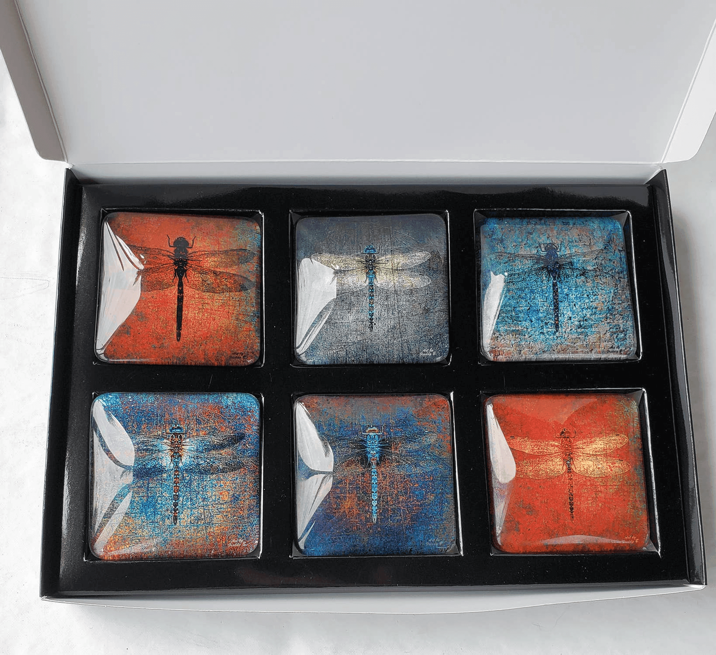 Set of 6 acrylic glass magnets in a tray, six square dragonfly designs
