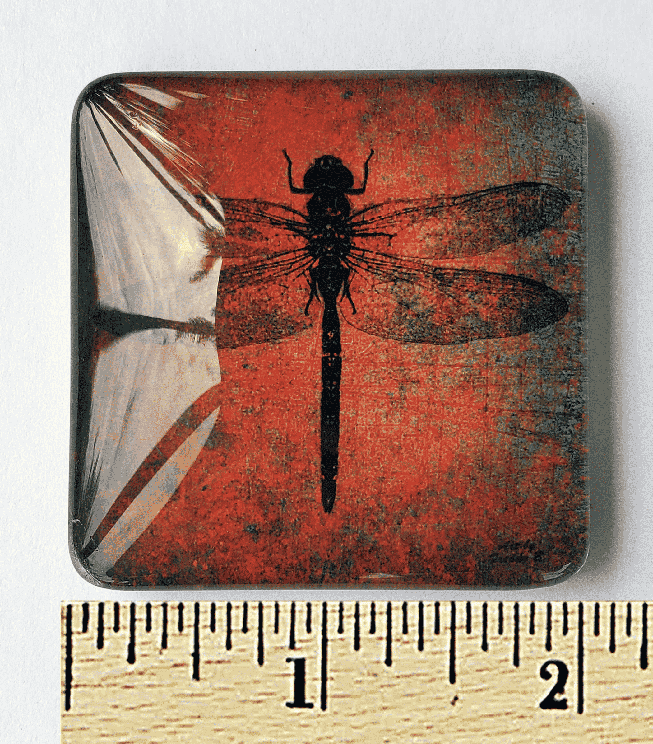Square acrylic glass magnet with a blue dragonfly on a red textured background