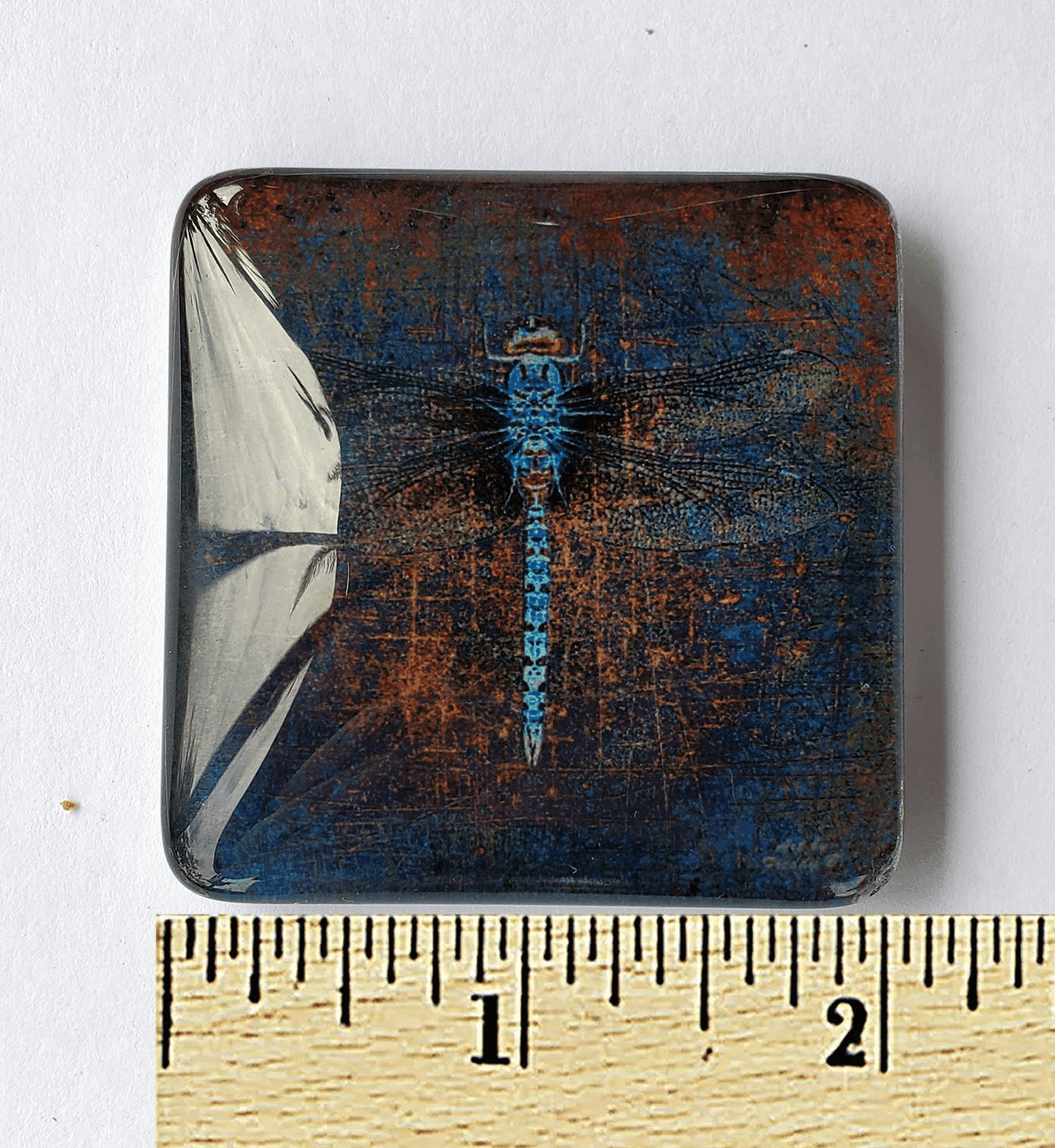 Square acrylic glass magnet with a blue dragonfly on a dark red background, about 2 in