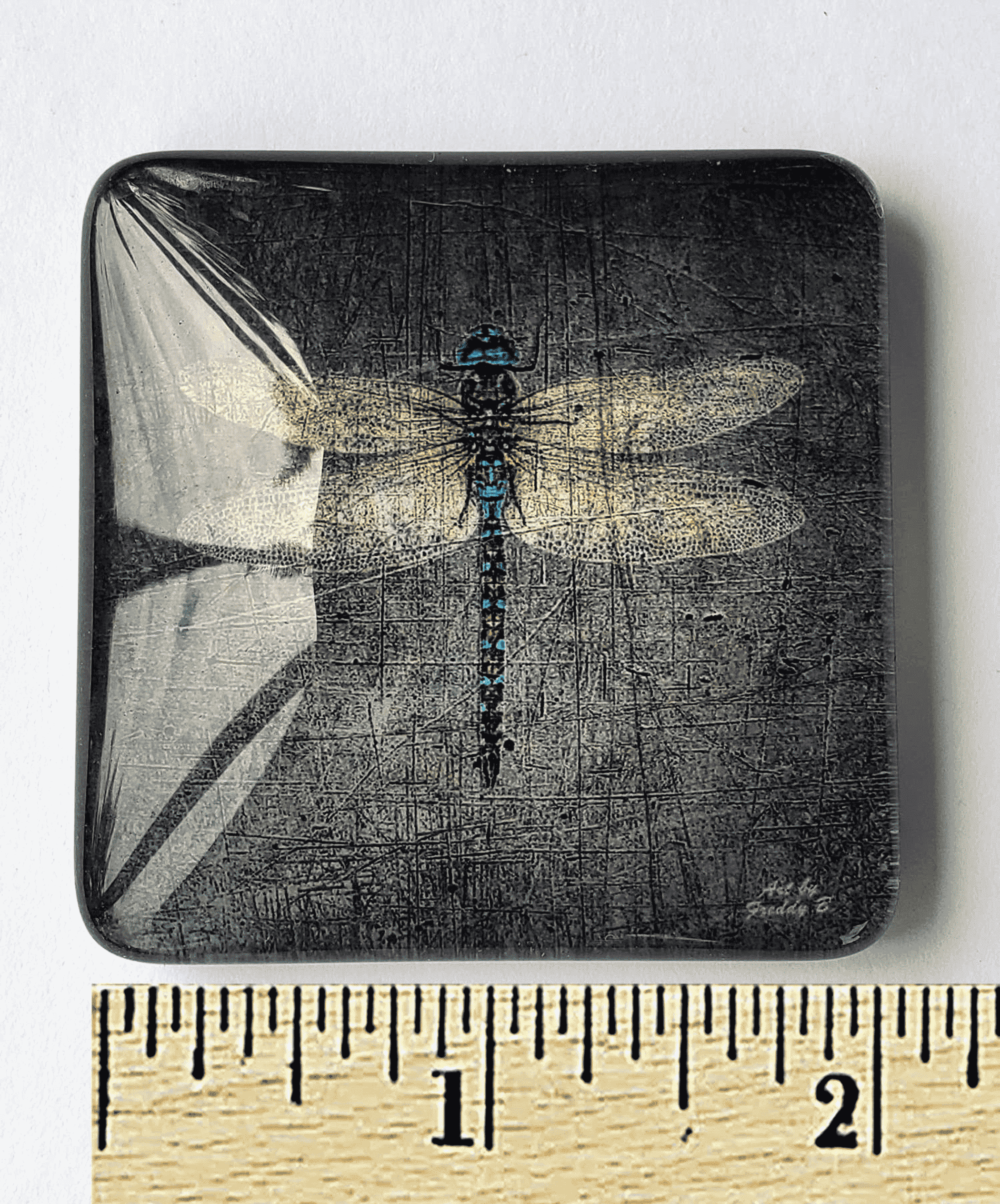 Square dragonfly print acrylic glass magnet with glossy finish; shown with ruler