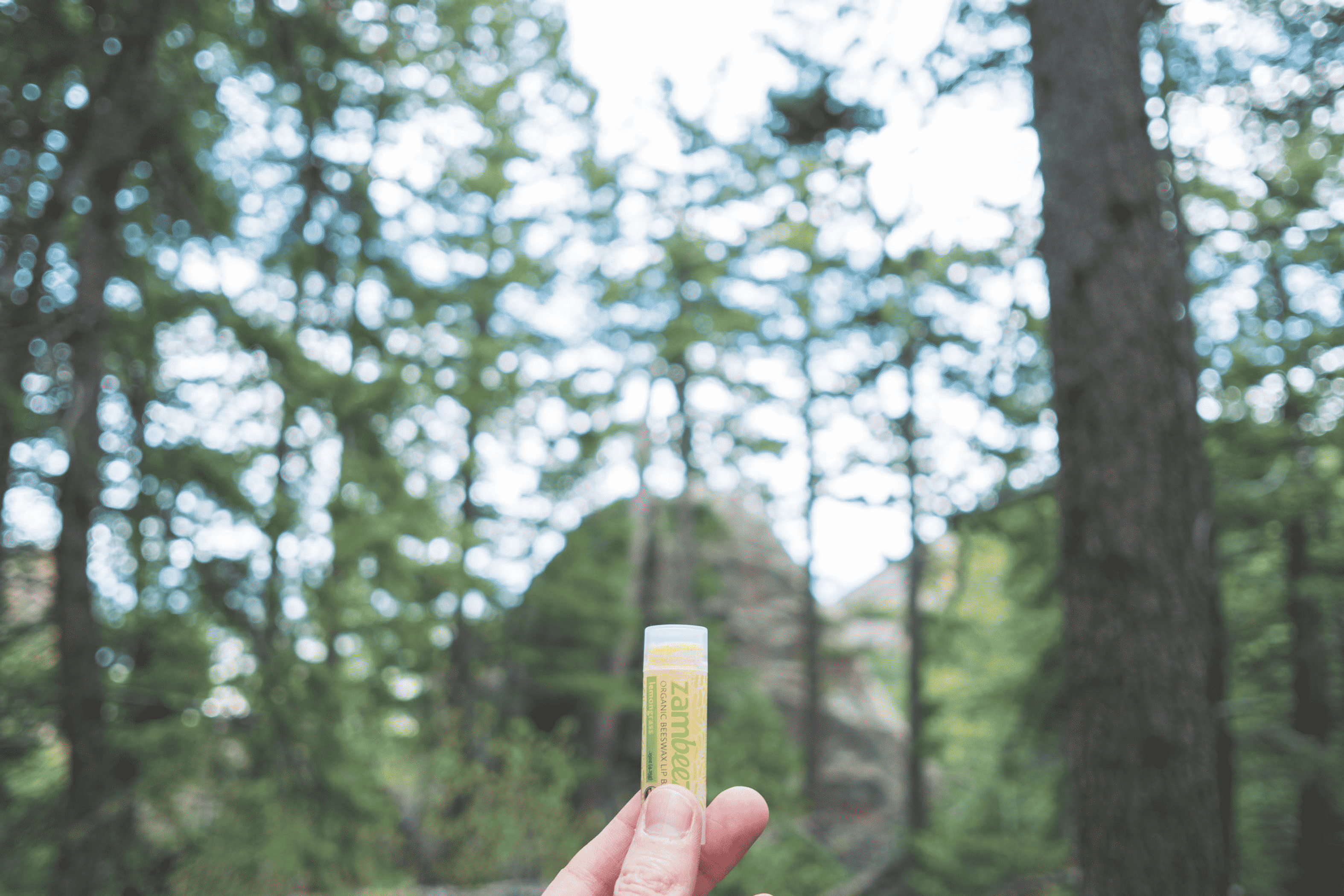 Zambezi lemongrass organic beeswax lip balm tube held in hand outdoors