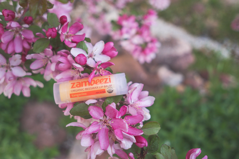 zambezi tangerine organic beeswax lip balm tube near pink blossoms