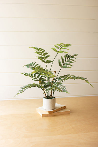 Artificial Fern In A Cement Pot - Green / 1 - Garden