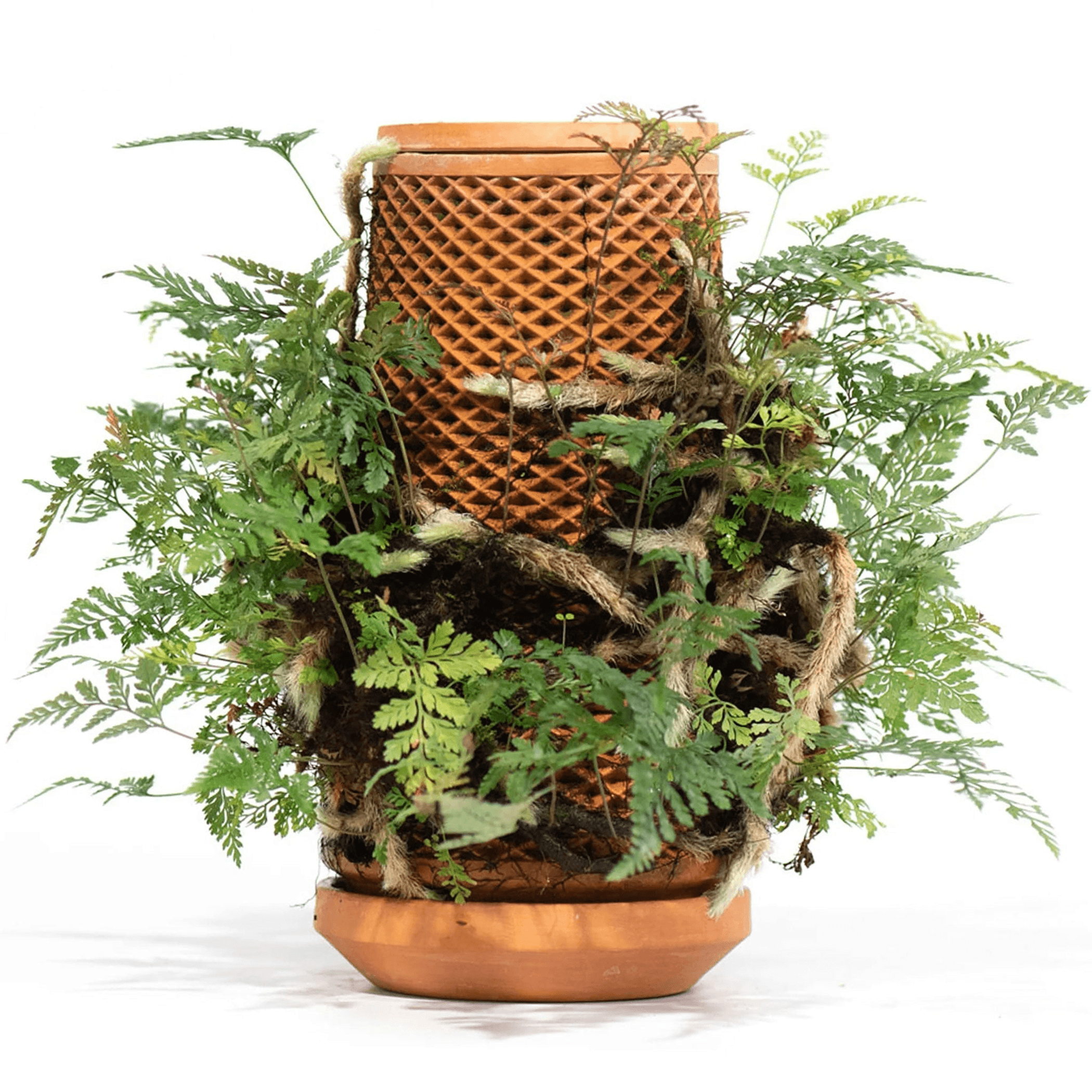 Terracotta self-watering planter packed with assorted green ferns and branches