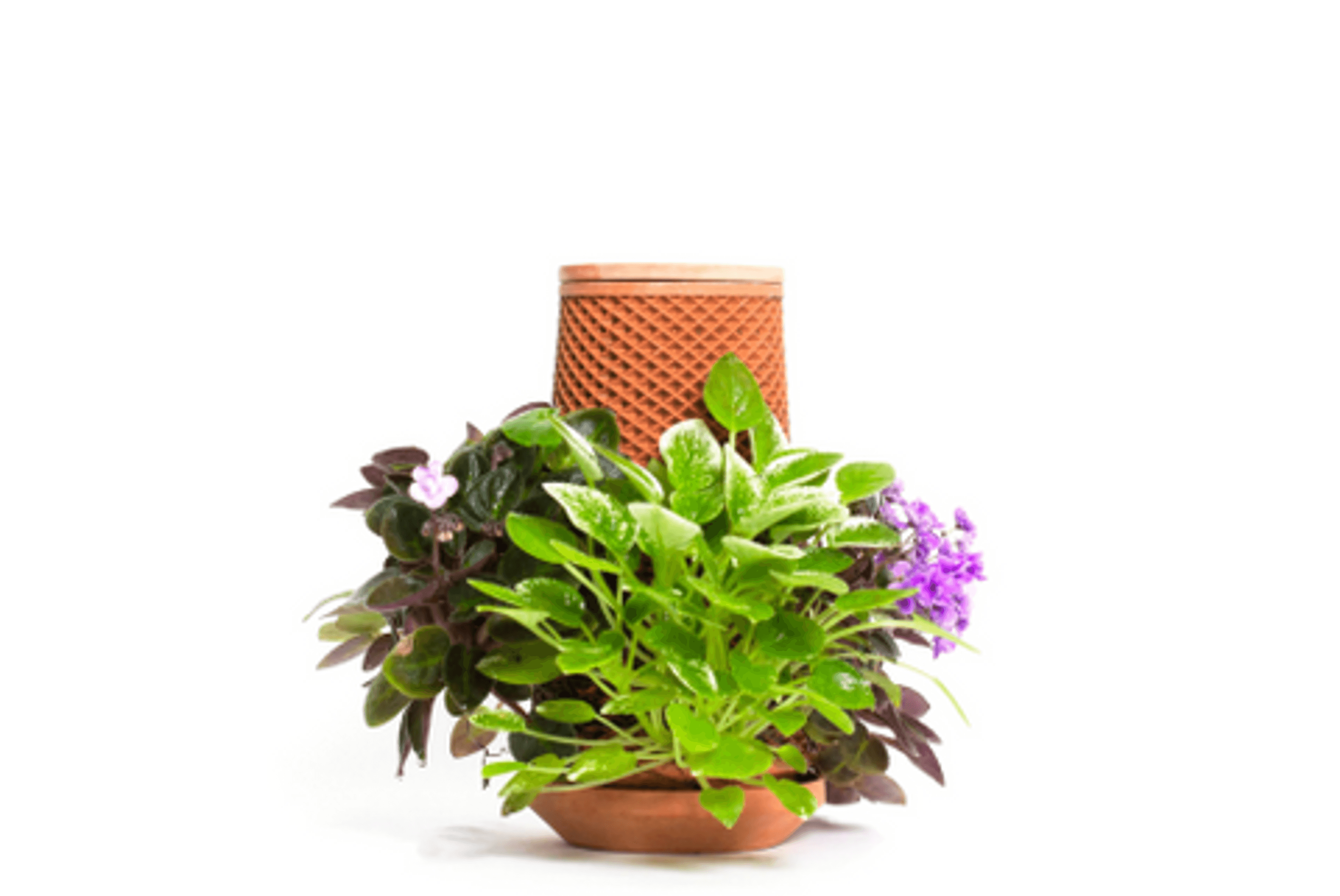 Terracotta self-watering planter with textured sides and a flowering plant arrangement