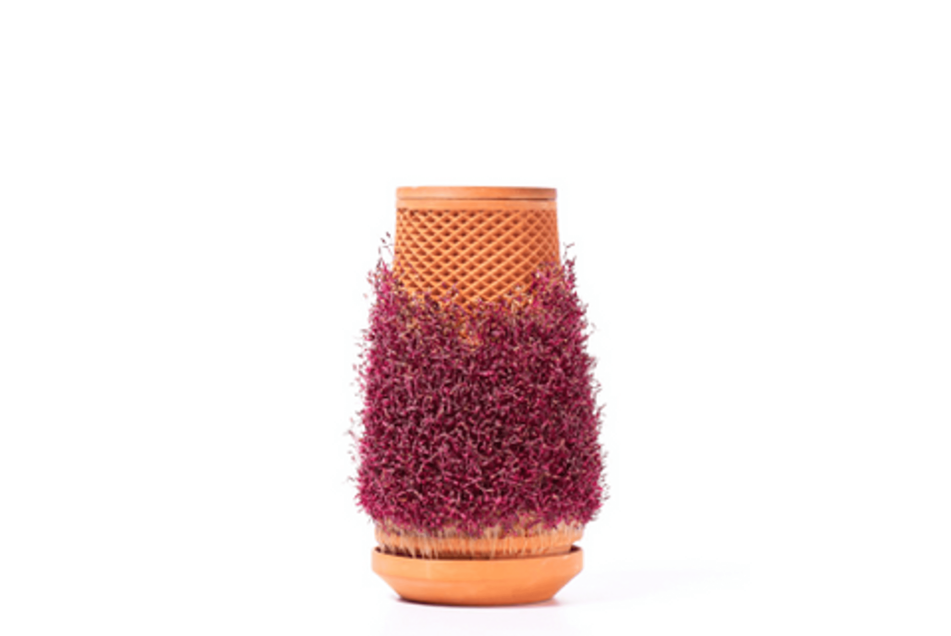 Terracotta self-watering planter with textured sides and a purple plant top layer