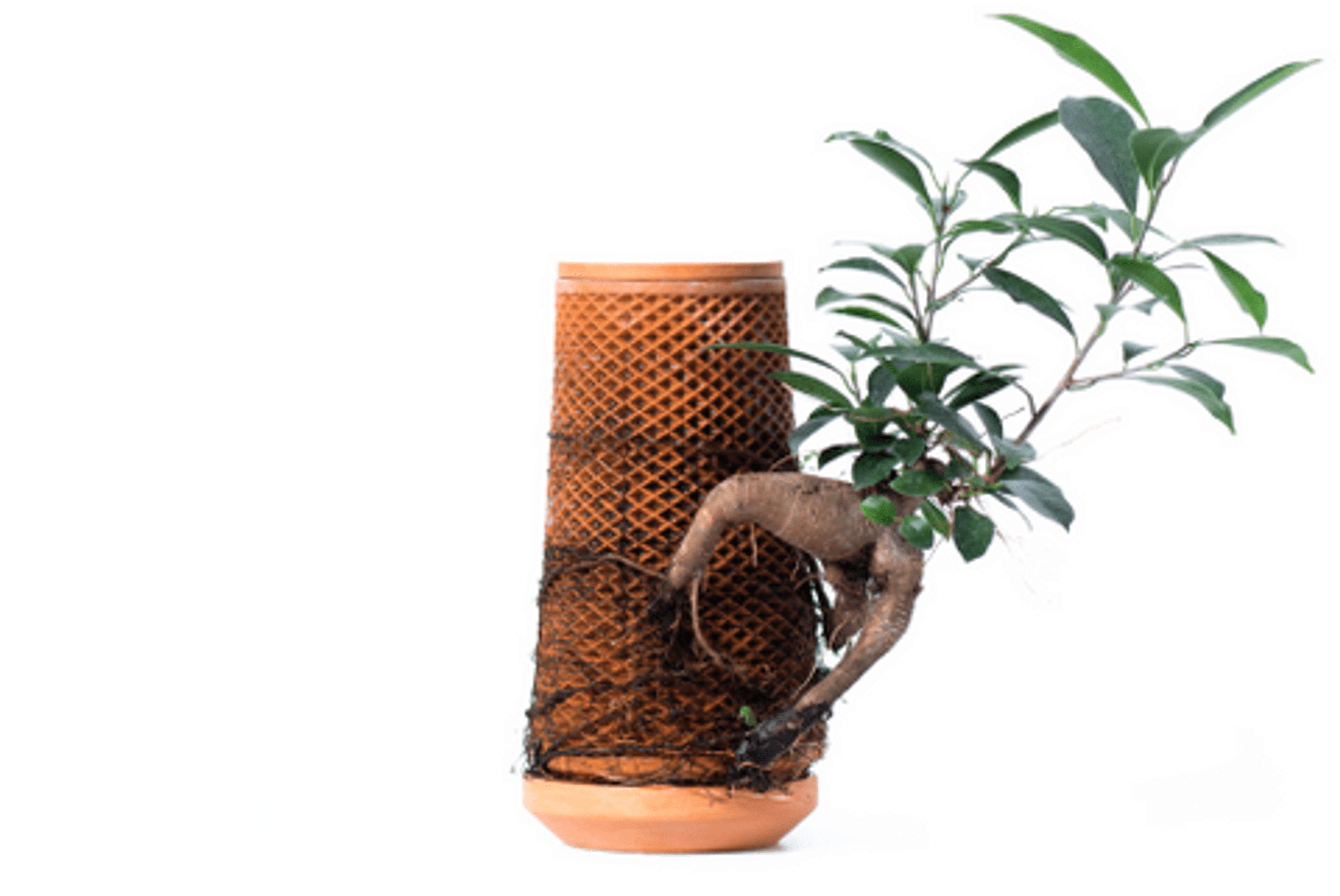 Terracotta self-watering planter with textured lattice and a small potted plant