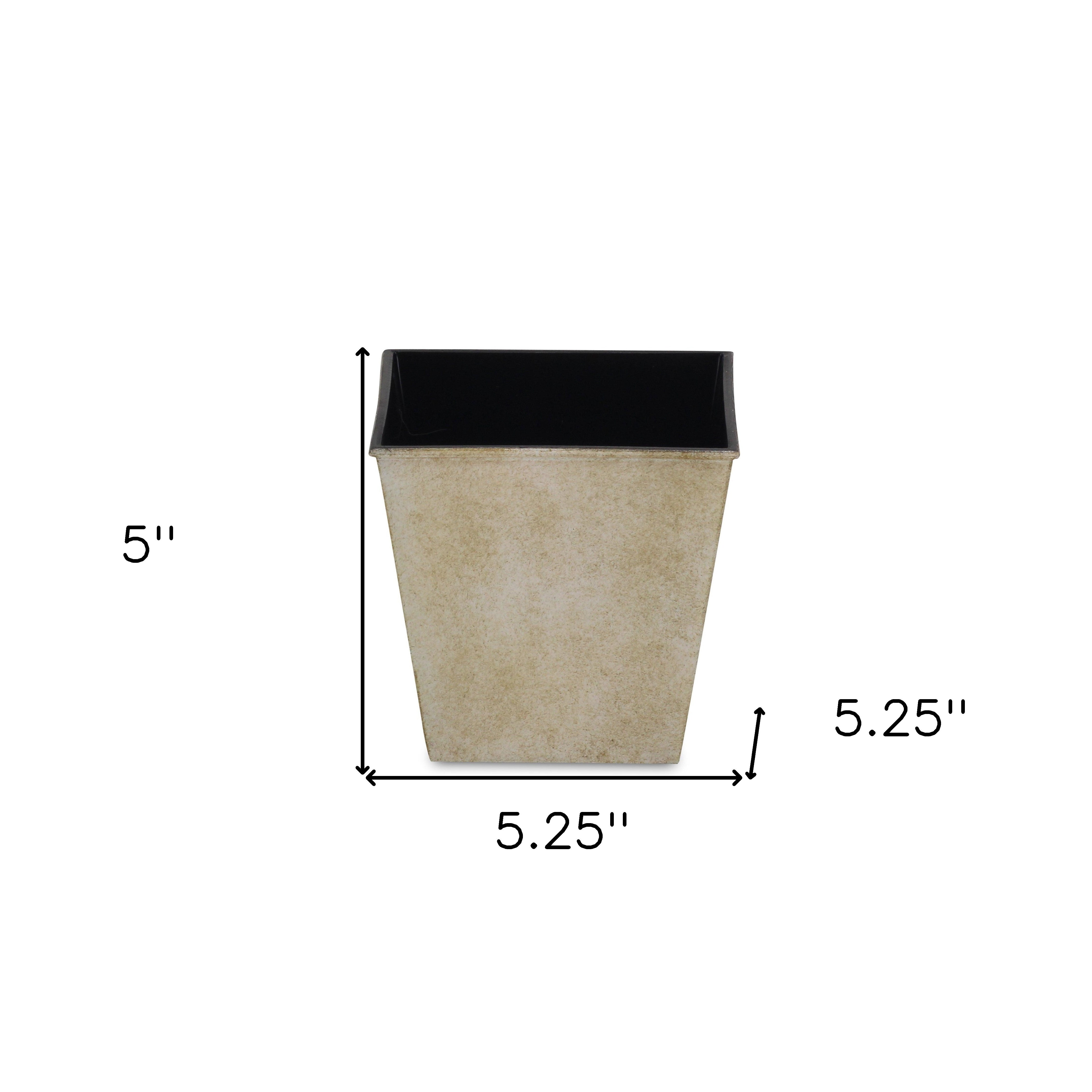 Cream square planter pot with dark rim, sized 5 in. high and 5.25 in. wide