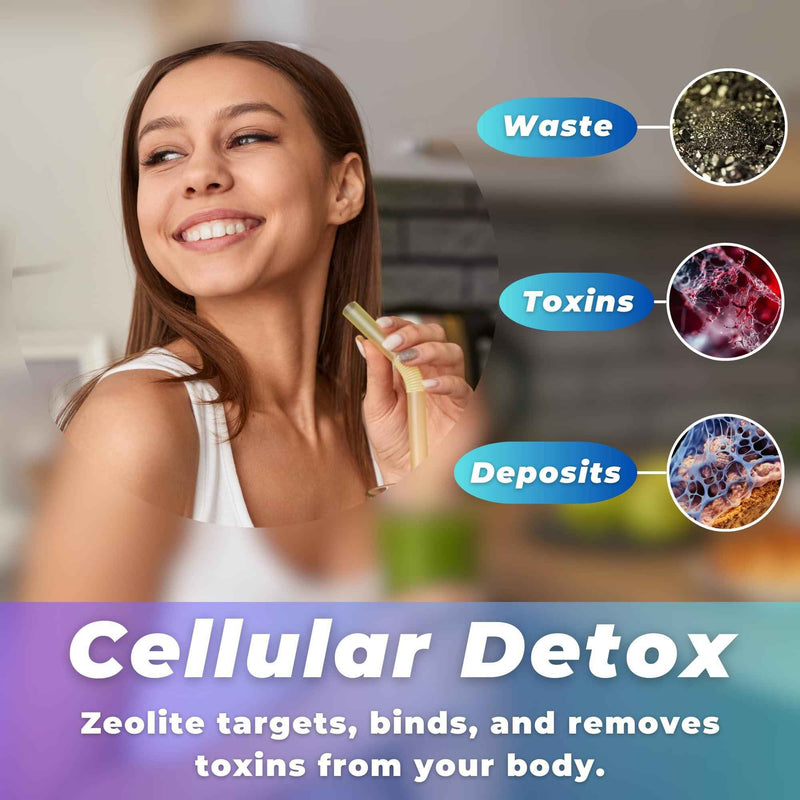 Sorbolit Zeolite Detox Powder 7.05oz Clinoptilolite Zeolite Powder Sorbolit 1 2 µm Zeolite Clinoptilolite Powder Supplement for Liver Detox 200 Days Supply