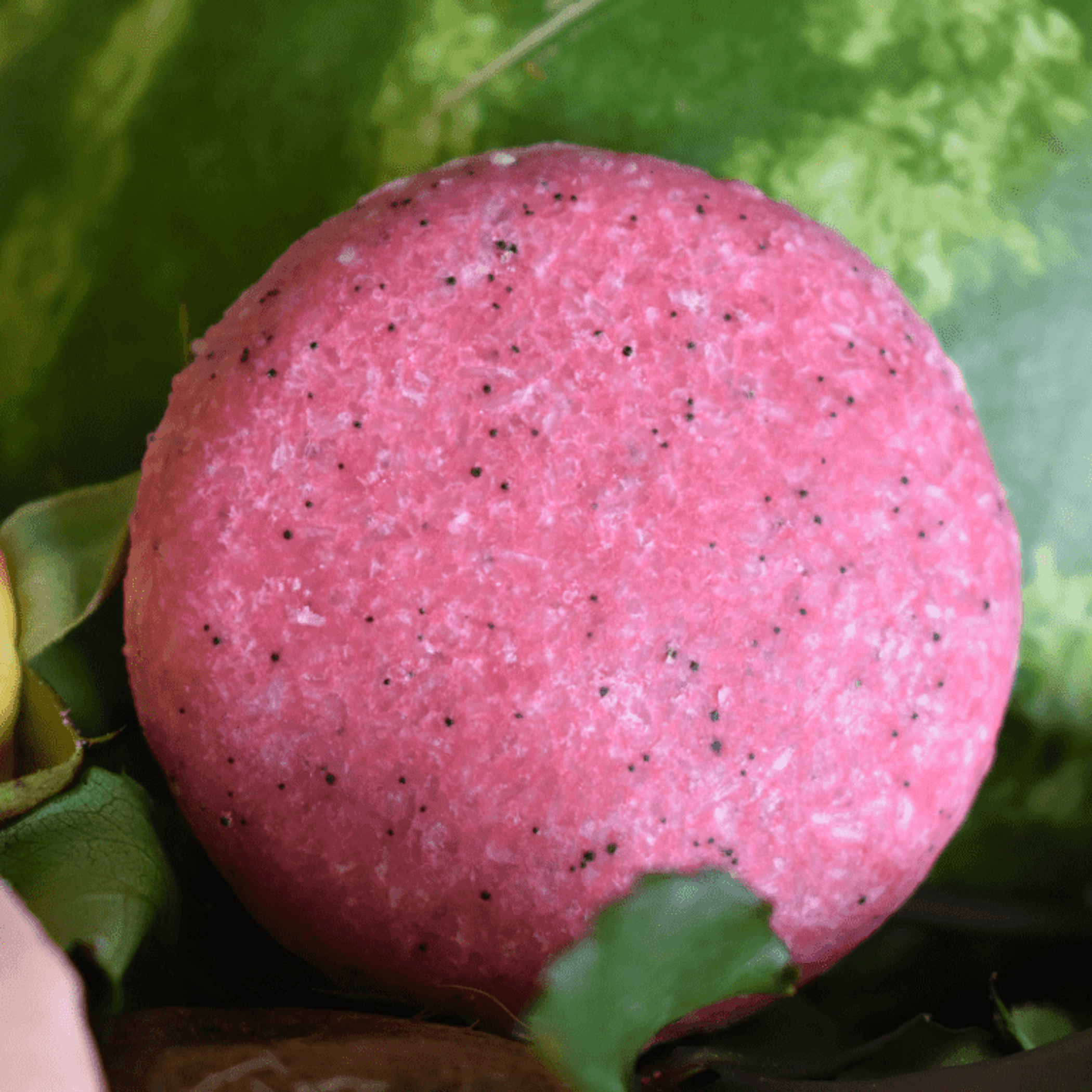 Pink kids shampoo bar with seed-like speckles on green leaves
