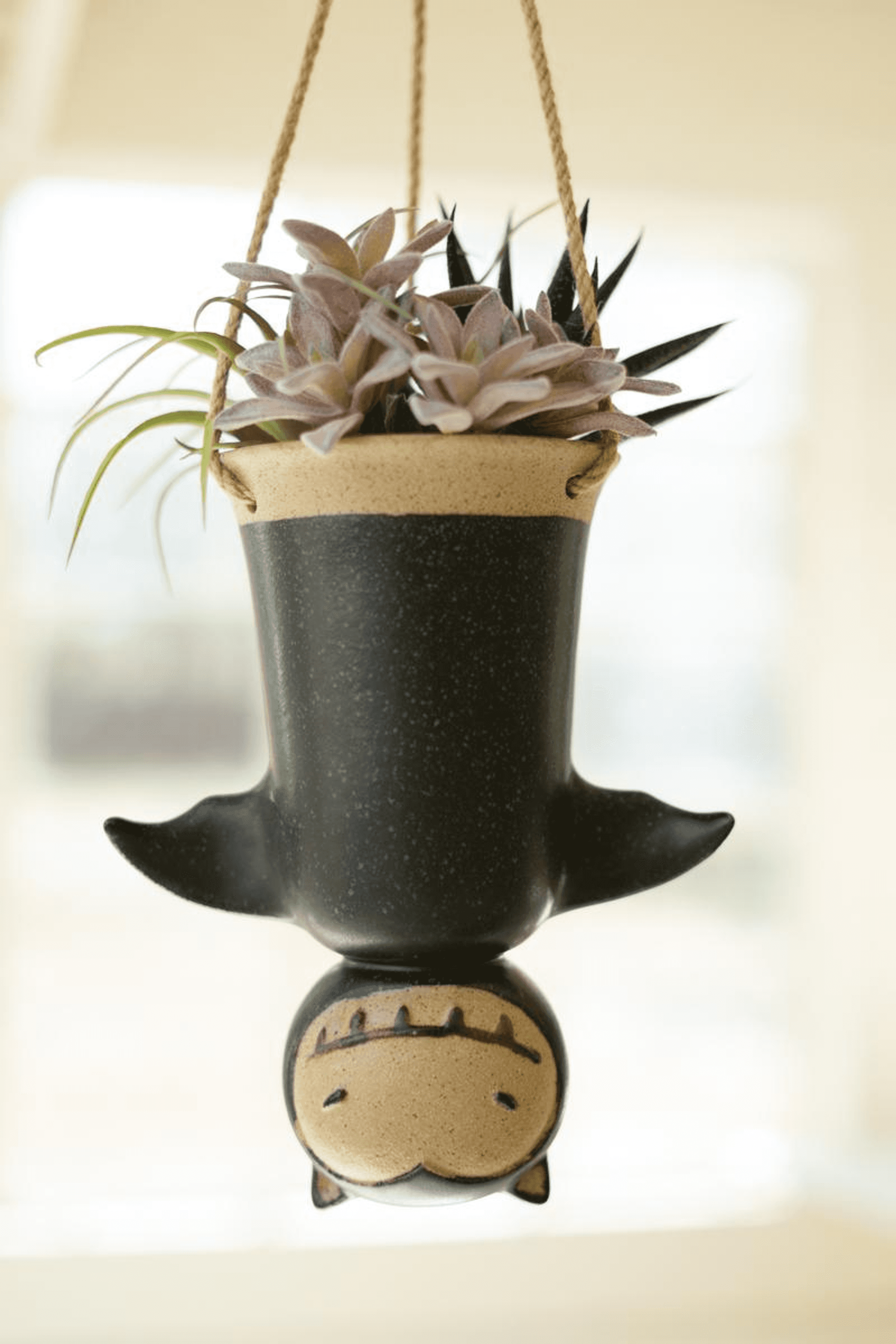 Ceramic hanging bat planter with black speckled body and tan bat base, holding succulent