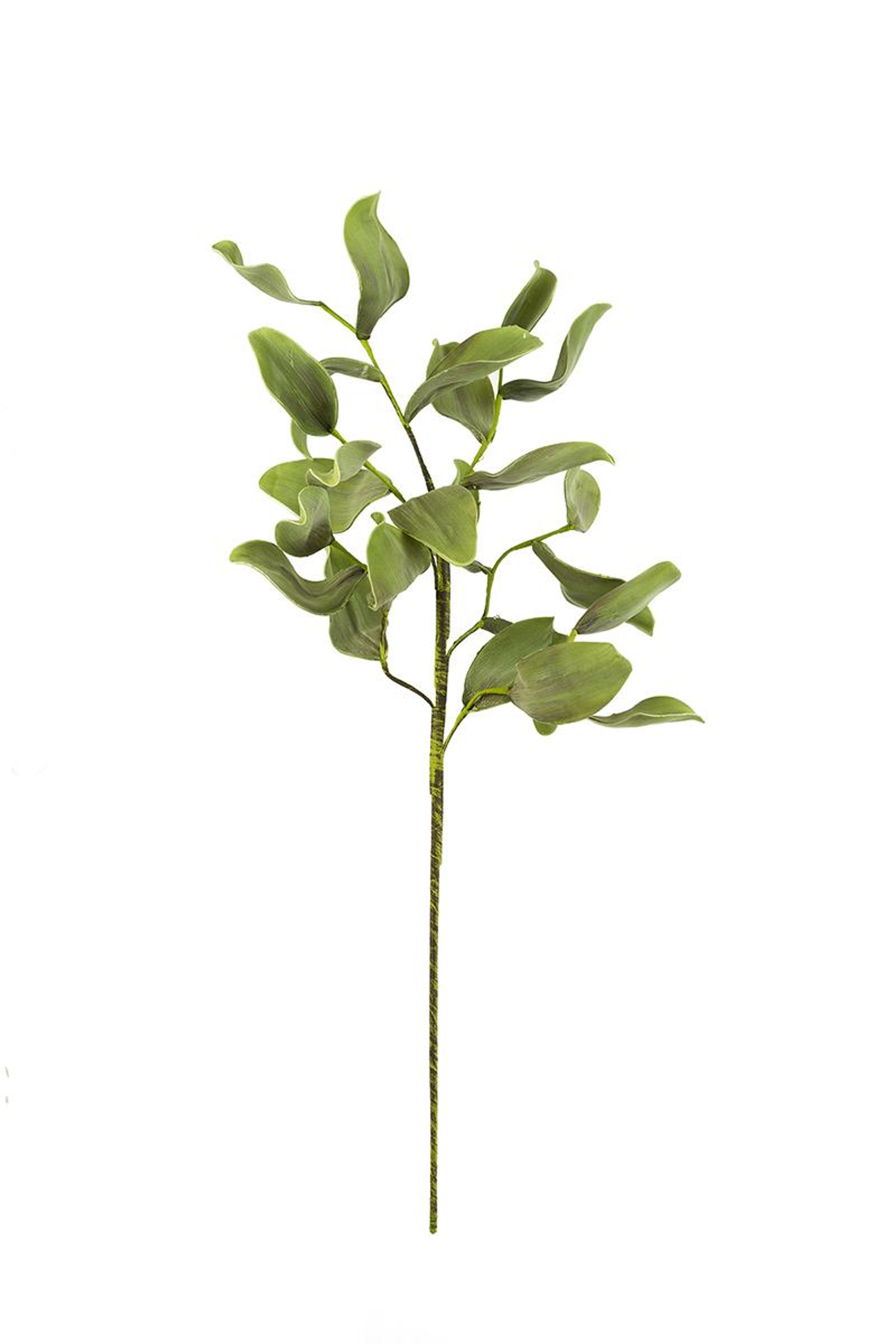 BOTANICA #2425 - Green / 1 Pack of 6 - Home Decor