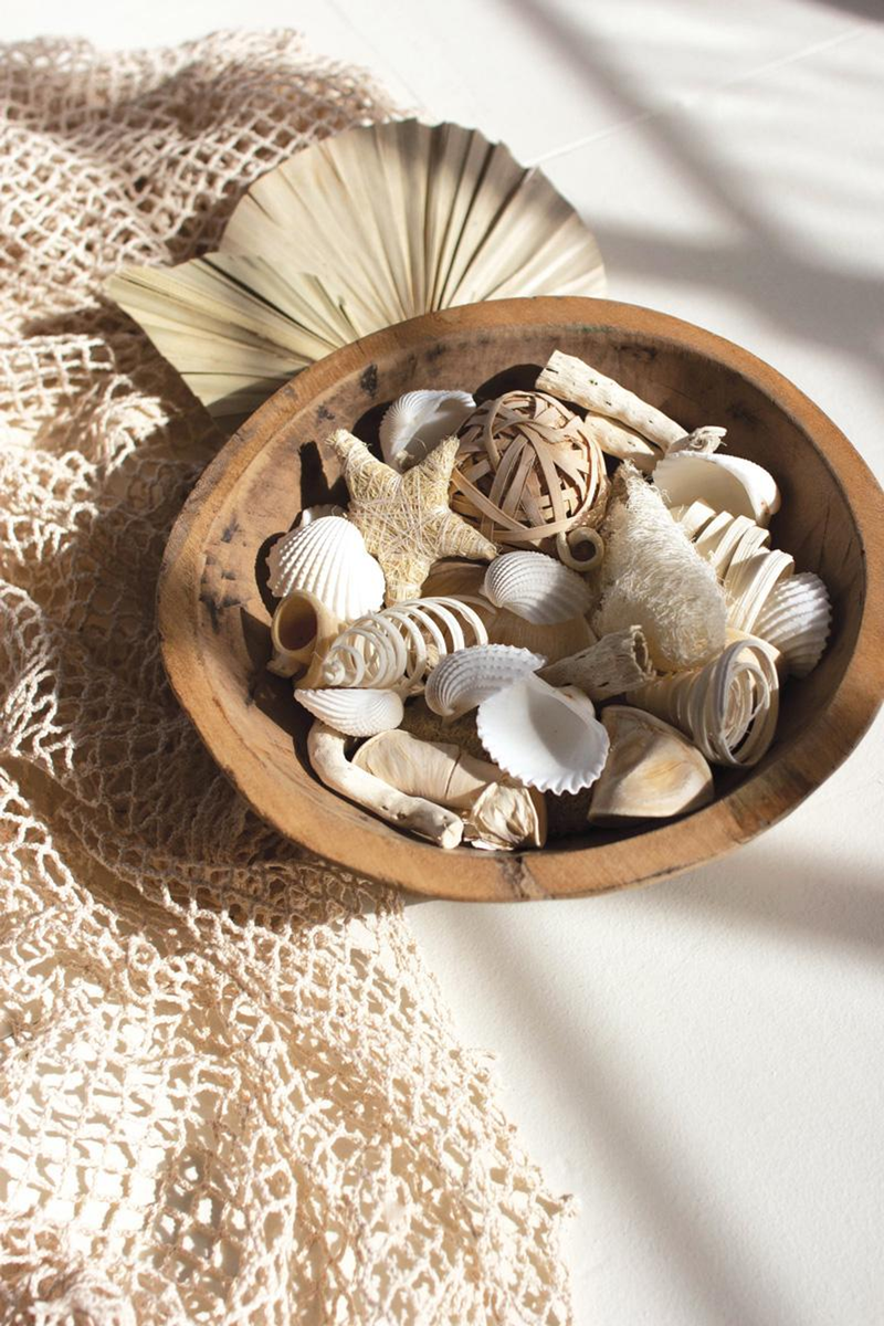 Coastal shell filler assortment with seashells, small starfish, and net pieces in a bowl