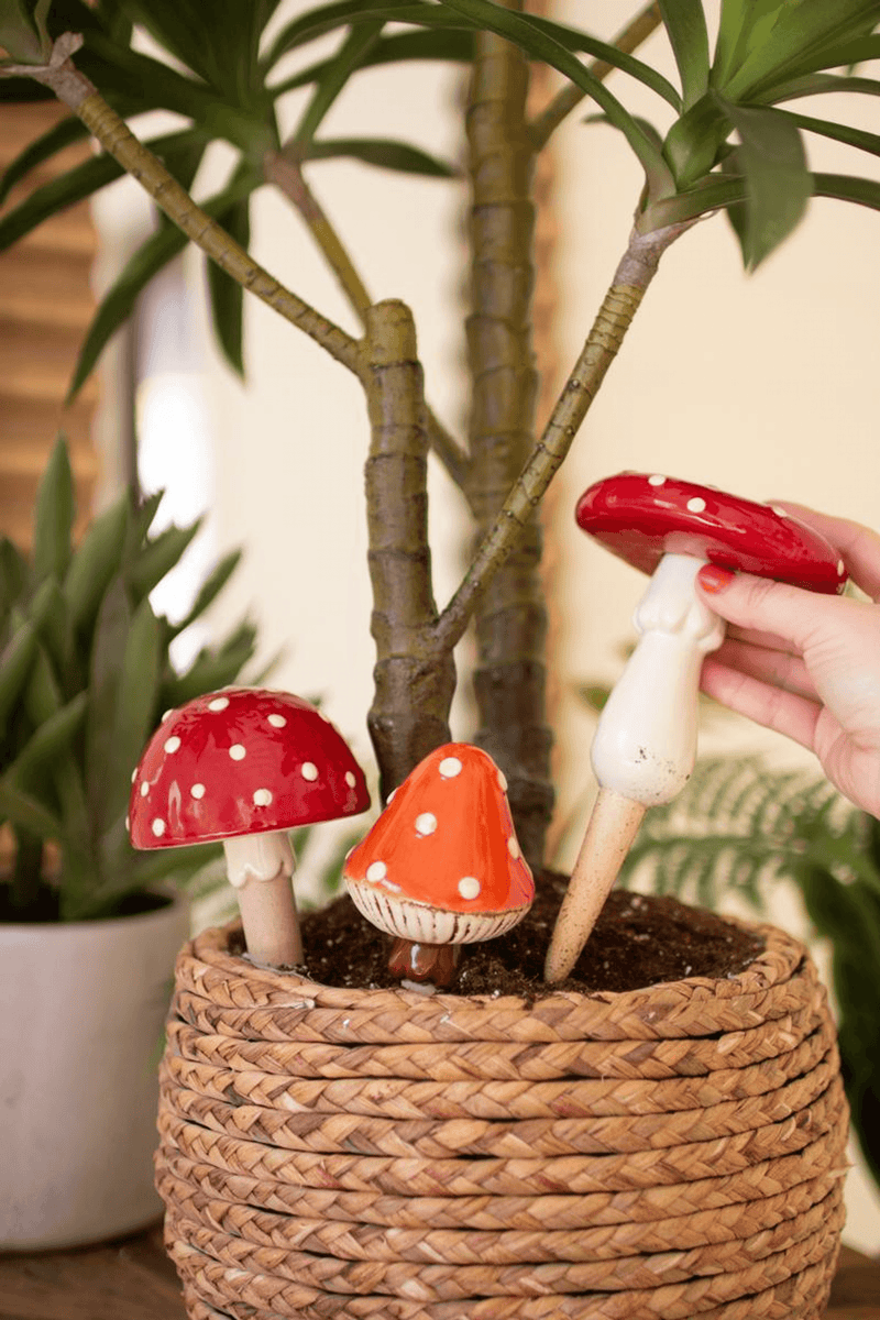 Ceramic mushroom plant stakes, red caps with white spots, one being placed