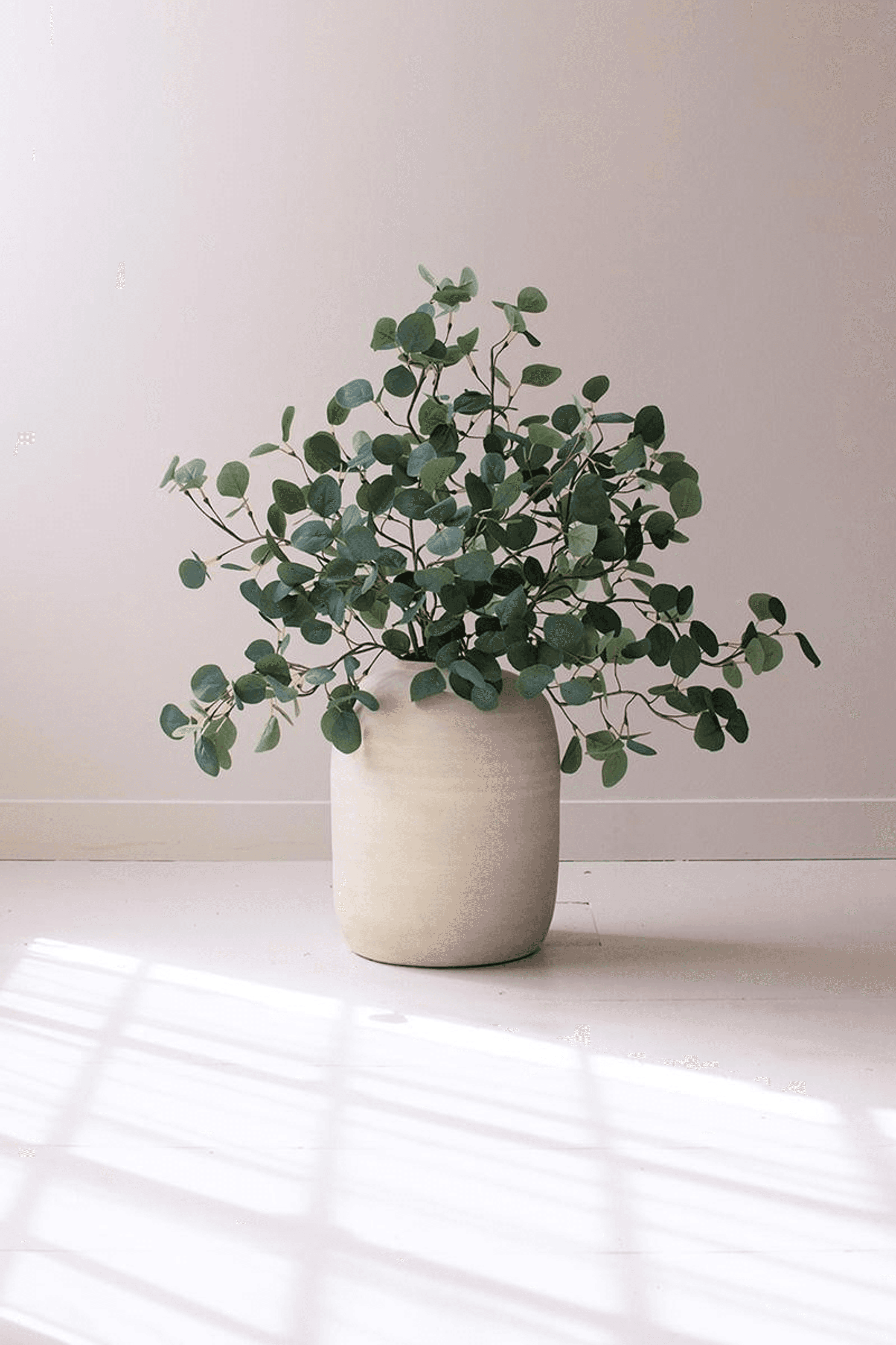 Green leafy eucalyptus-style plant in white ceramic pot