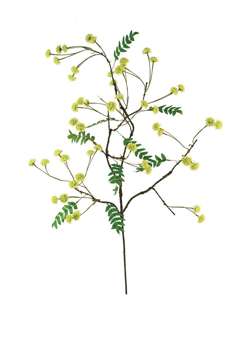 BOTANICA single floral stem branch with pale yellow pom flowers and green leaves