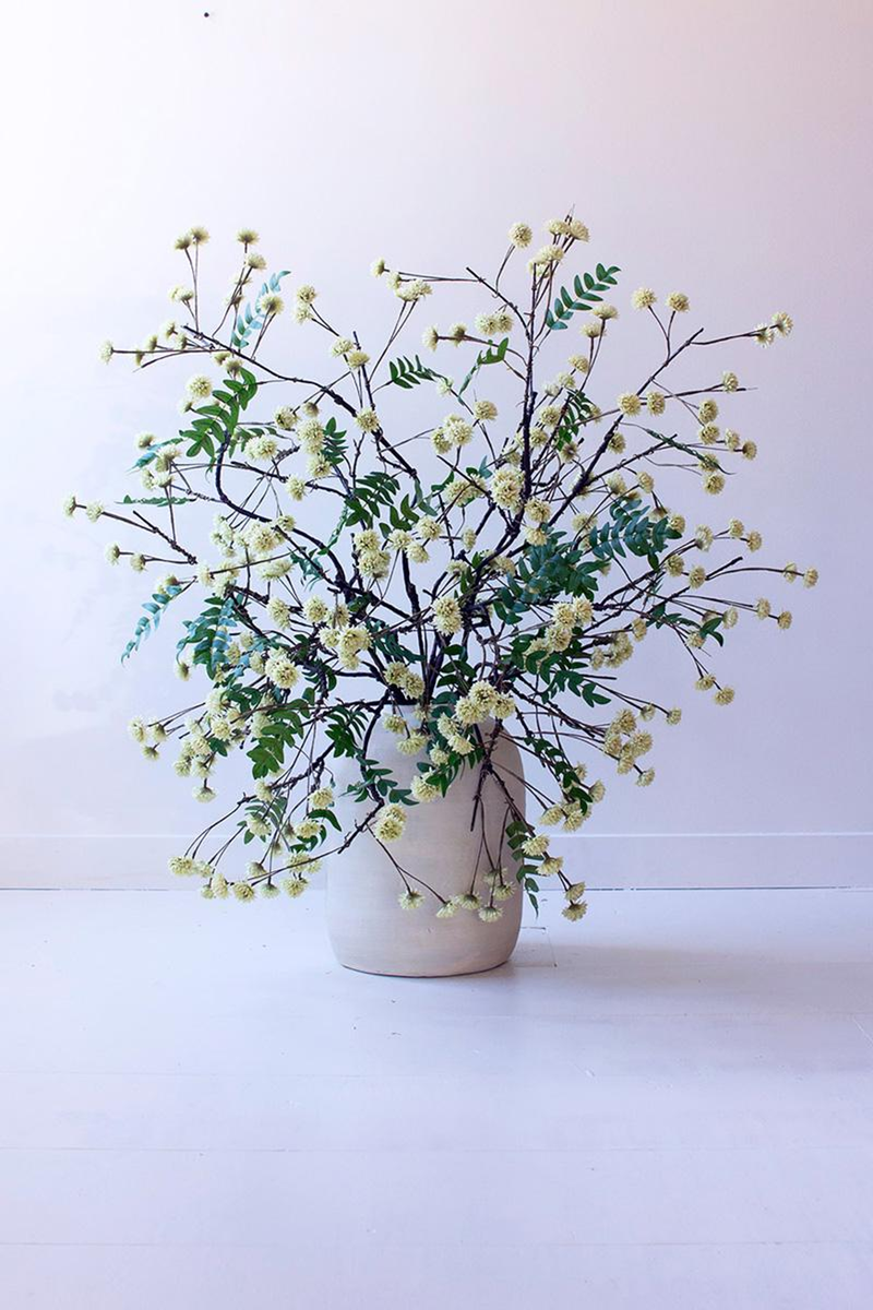 BOTANICA floral arrangement in vase: branched stems with yellow pom flowers and green leaves