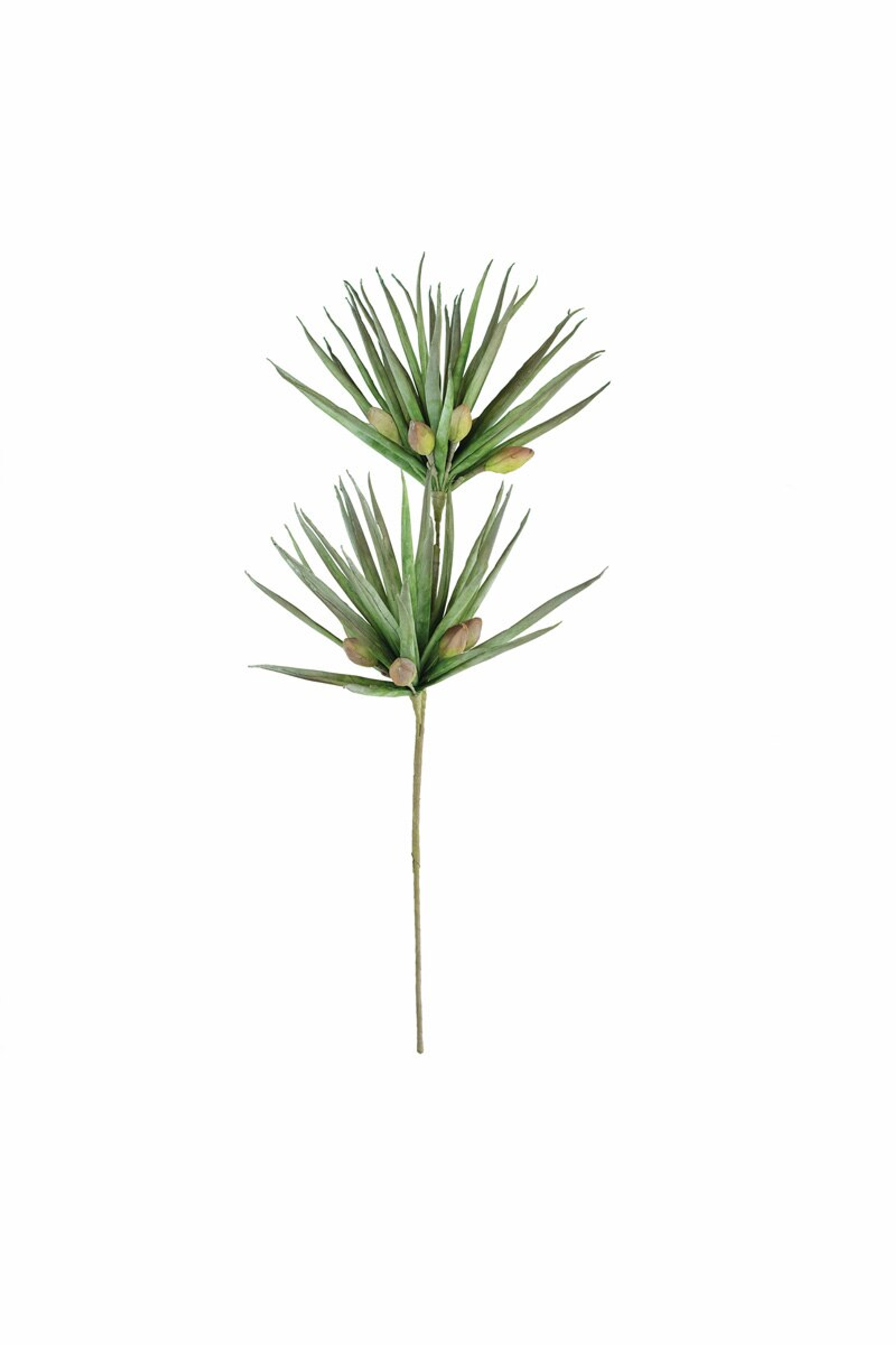 BOTANICA #3365 artificial green succulent stem with spiky leaves