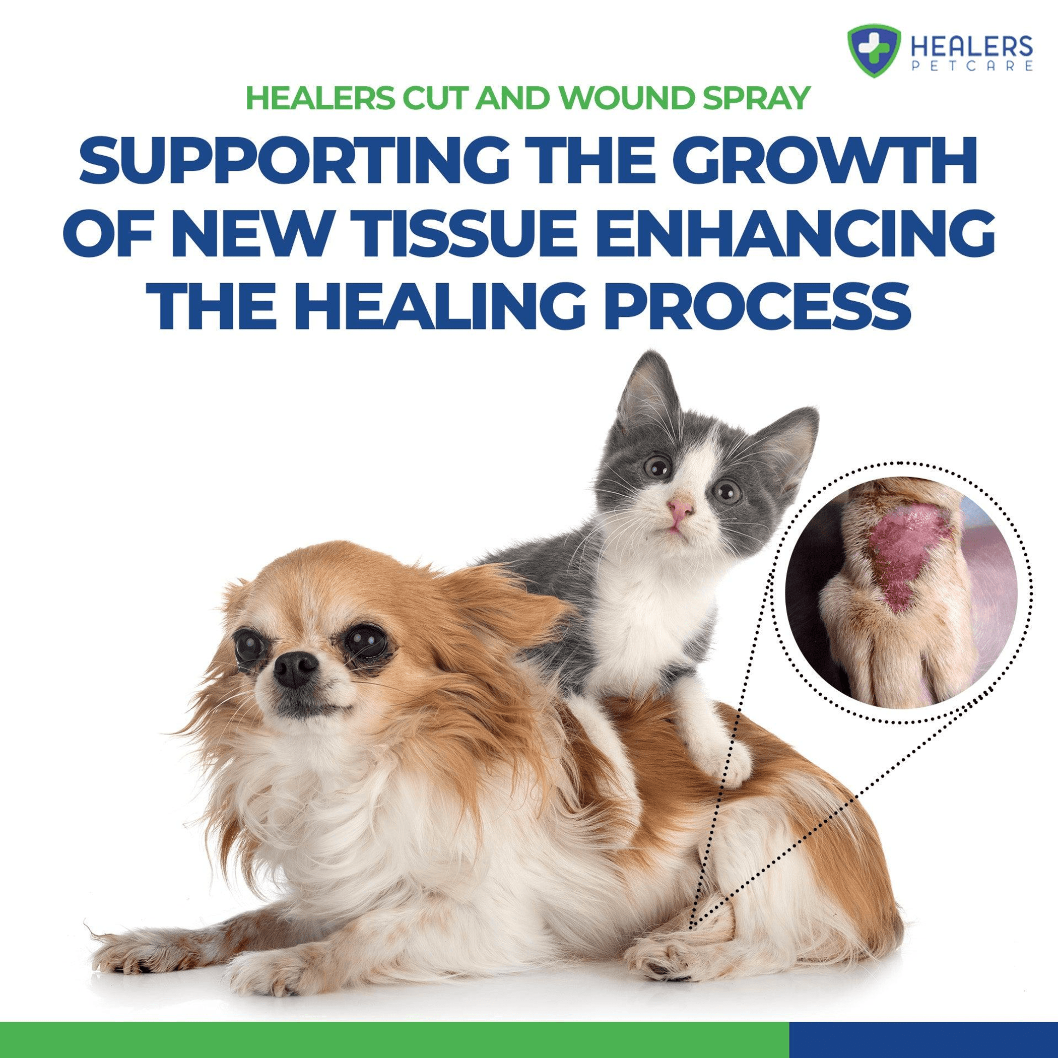 Pet care support graphic with two dogs and circular inset wound photo