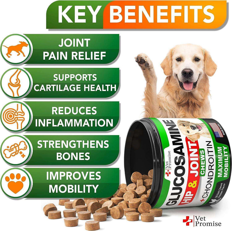 (2 Pack) Glucosamine for Dogs   Hip and Joint Chews - Pet Supplies