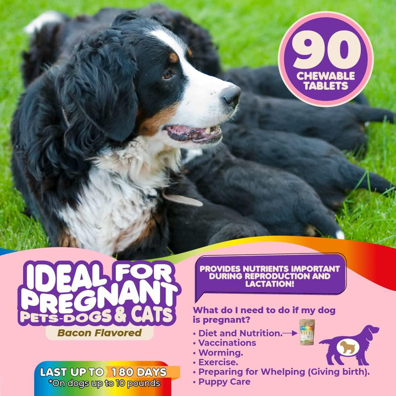 Prenatal Dog Vitamins – Multivitamin for Dogs and Cats with Folic Acid Minerals and Amino Acids. Ideal for Pregnant Breast…