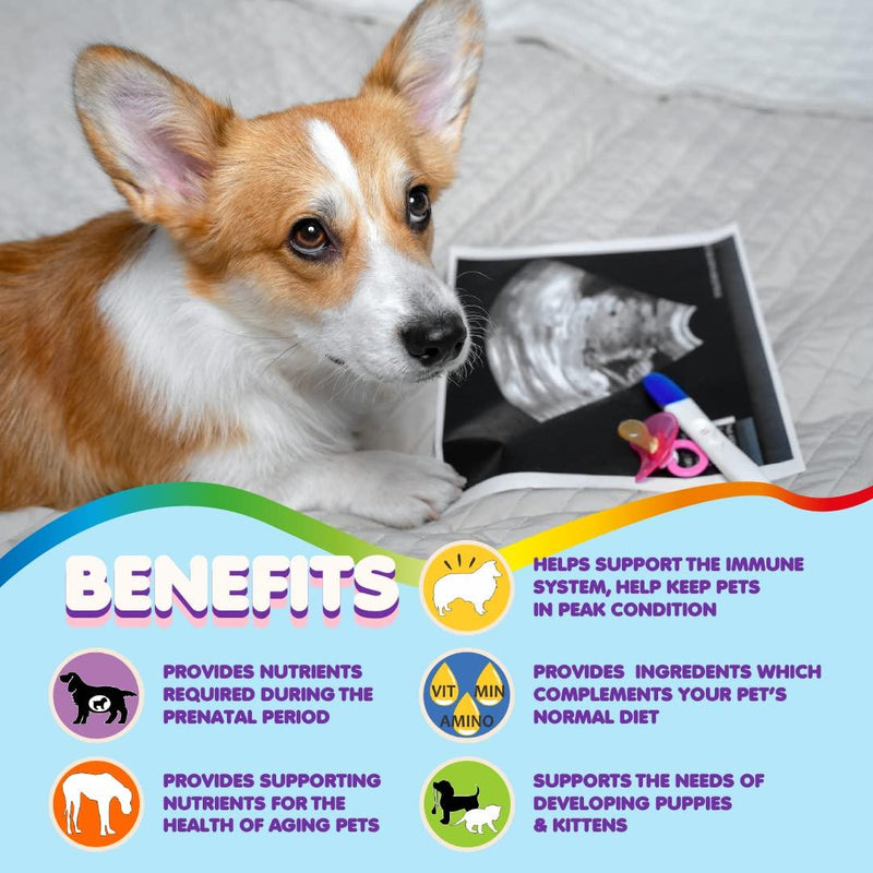 Prenatal Dog Vitamins – Multivitamin for Dogs and Cats with Folic Acid Minerals and Amino Acids. Ideal for Pregnant Breast…