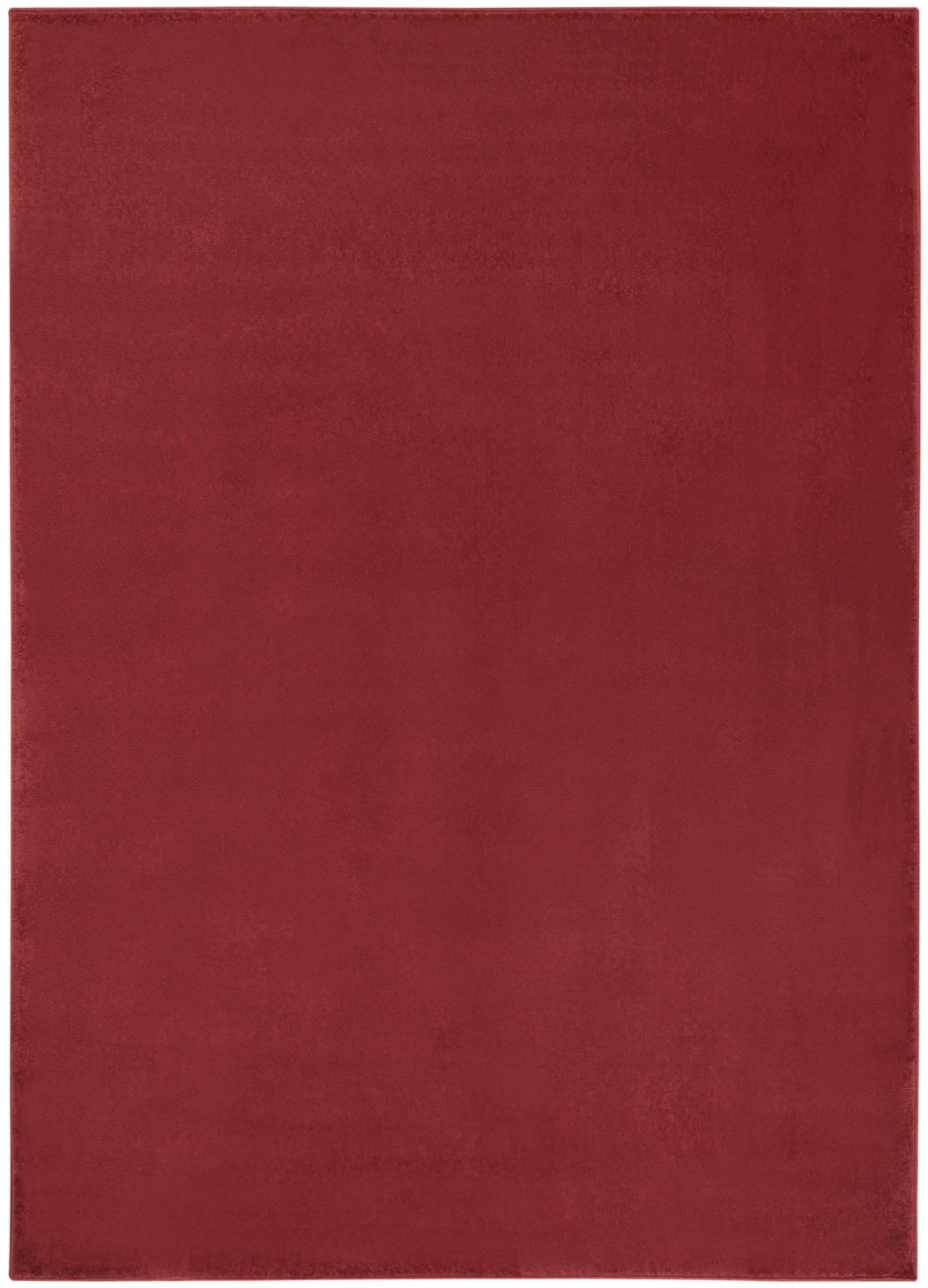 4' X 6' Brick Red Stain Resistant Indoor Outdoor Area Rug - Outdoor