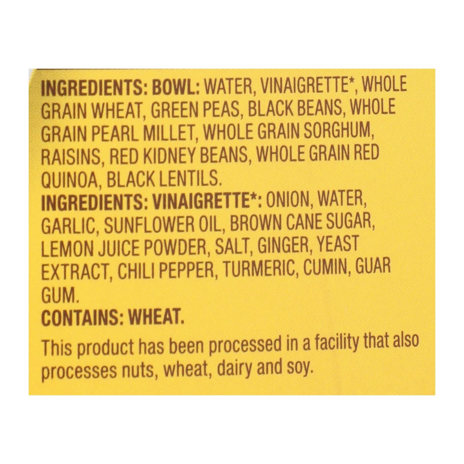 Tasty Bite - Bowl Protein Indian Style - Case Of 6-8.8 Oz - GreatEagleInc