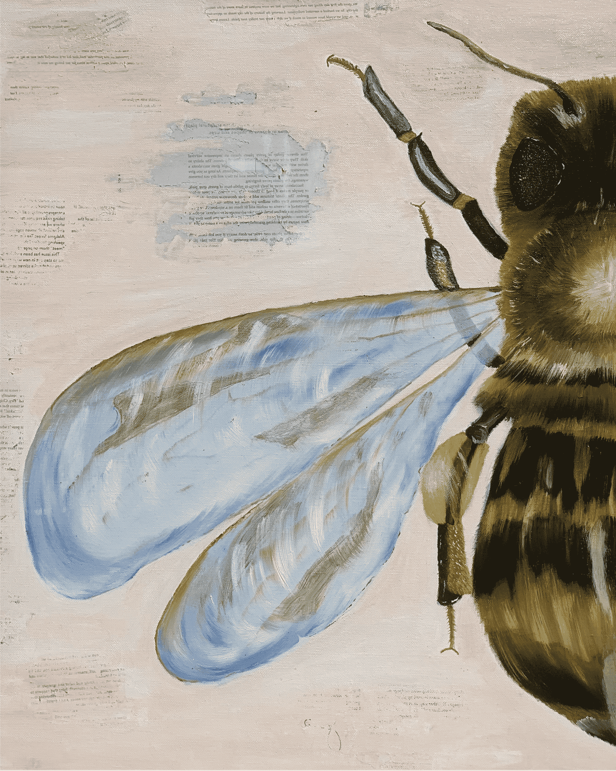 Bee art print with blue wings and detailed yellow-green body on light background