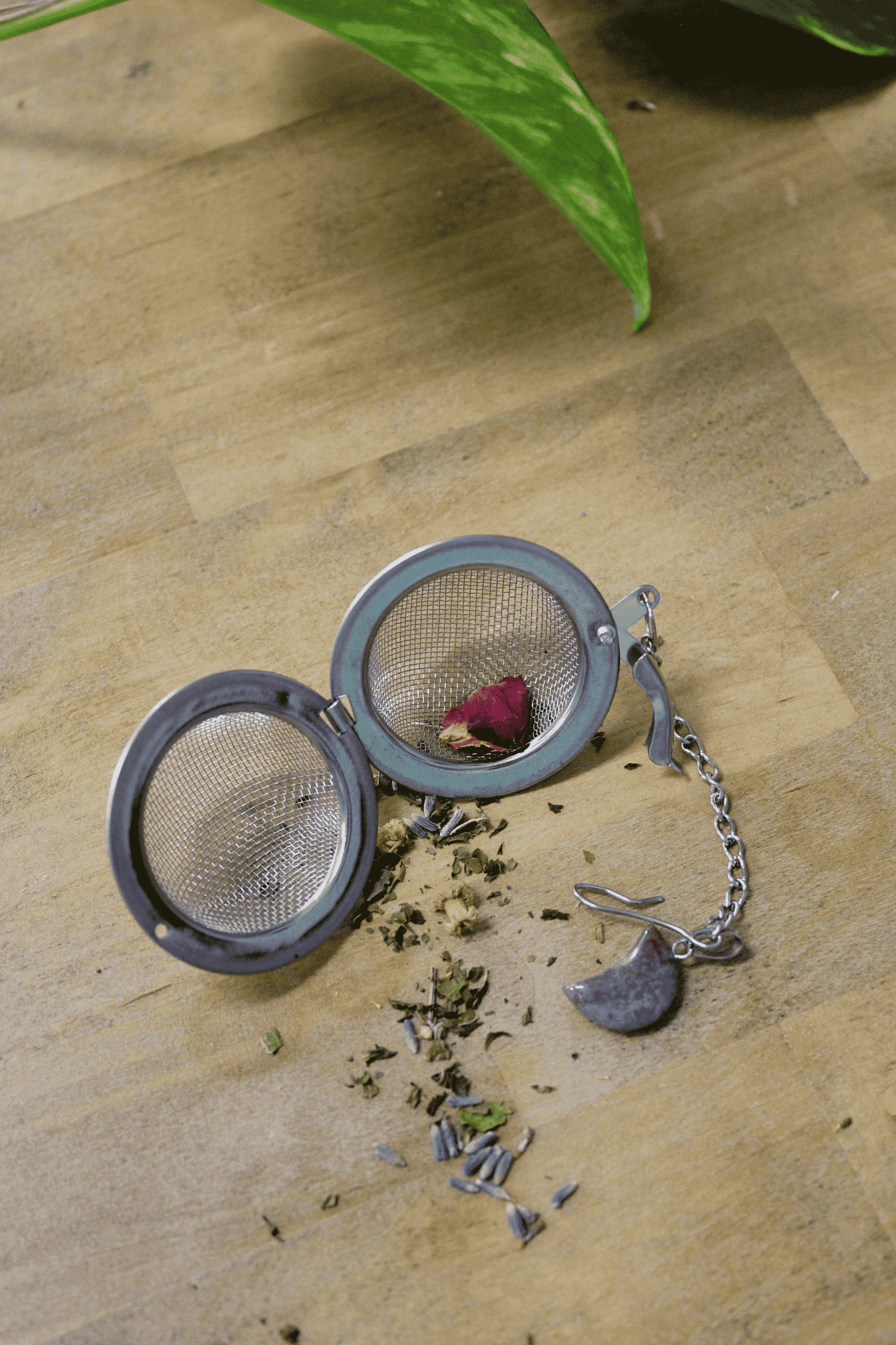Crystal Moon Tea Ball Infuser - Kitchen