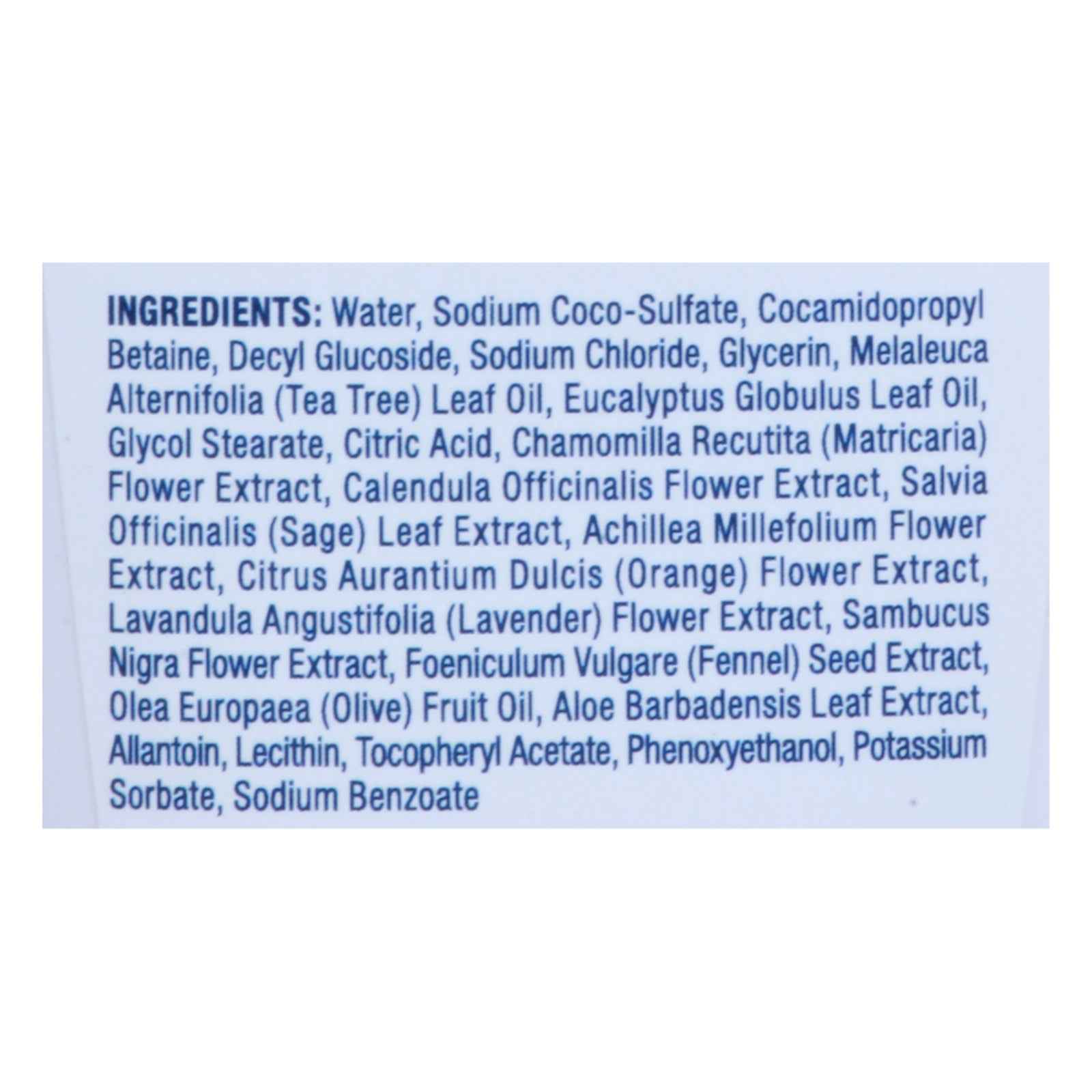 Kiss My Face - Hand Soap Tea Tree Mst - 1 Each-9 Fz