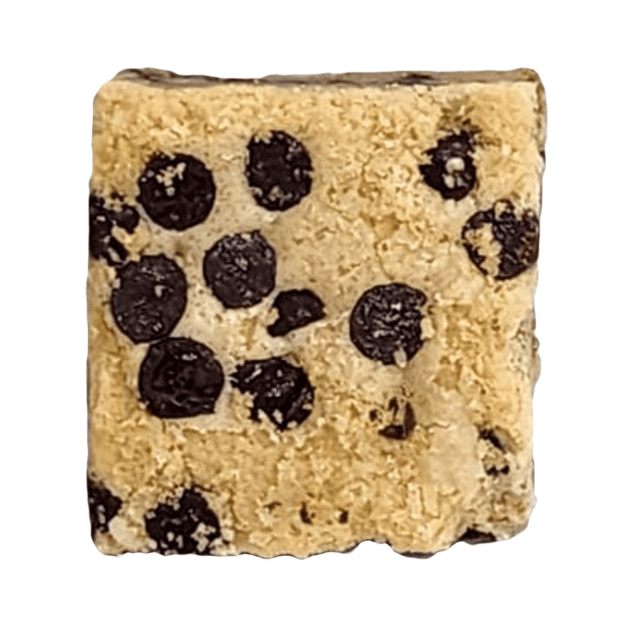 Brownie blondie square with dark chocolate chips in a light crumb.