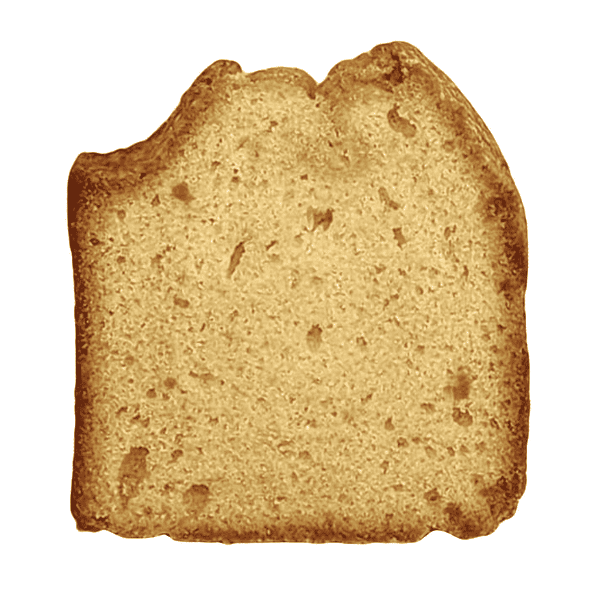 Vanilla pound cake slice, golden crumb loaf wedge with lightly browned top