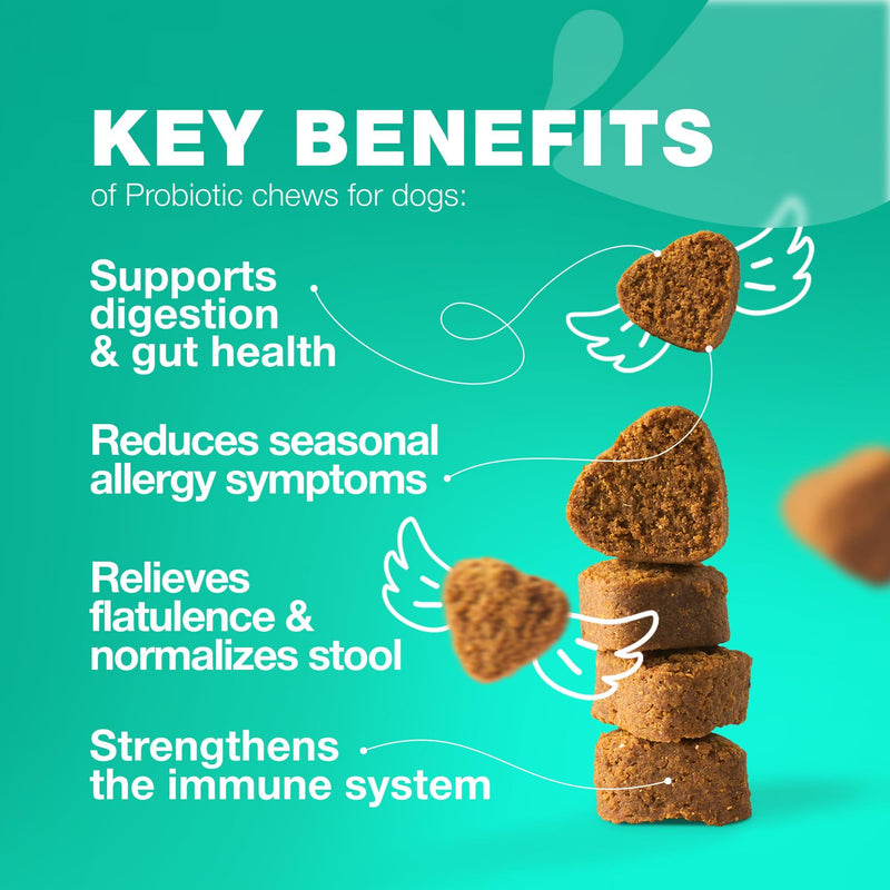 Probiotics for Dogs Gut Health Digestion Immunity Yeast Balance Itchy Skin Allergies Support   Dog Probiotic Chews with…