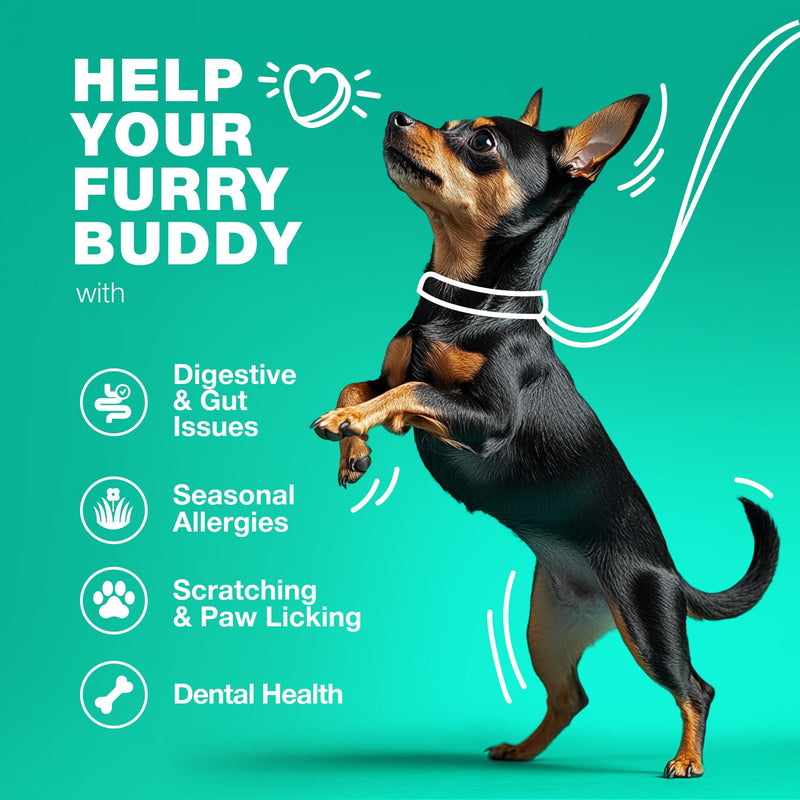 Probiotics for Dogs Gut Health Digestion Immunity Yeast Balance Itchy Skin Allergies Support   Dog Probiotic Chews with…