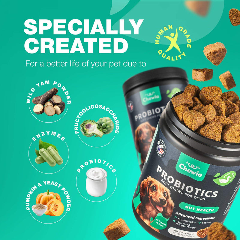 Probiotics for Dogs Gut Health Digestion Immunity Yeast Balance Itchy Skin Allergies Support   Dog Probiotic Chews with…