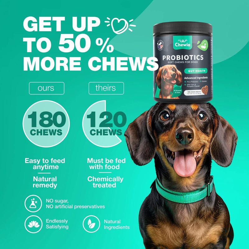 Probiotics for Dogs Gut Health Digestion Immunity Yeast Balance Itchy Skin Allergies Support   Dog Probiotic Chews with…
