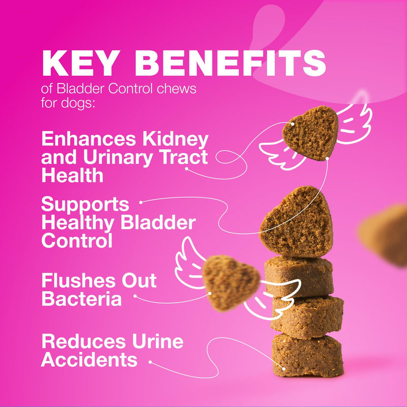 Dog UTI Treatment   Dog Cranberry Supplement for Bladder & Kidney Health Urinary Tract Incontinence Support   Cranberry…