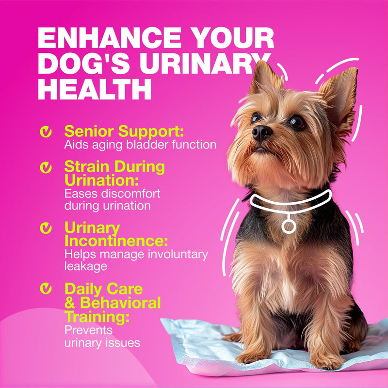 Dog UTI Treatment   Dog Cranberry Supplement for Bladder & Kidney Health Urinary Tract Incontinence Support   Cranberry…