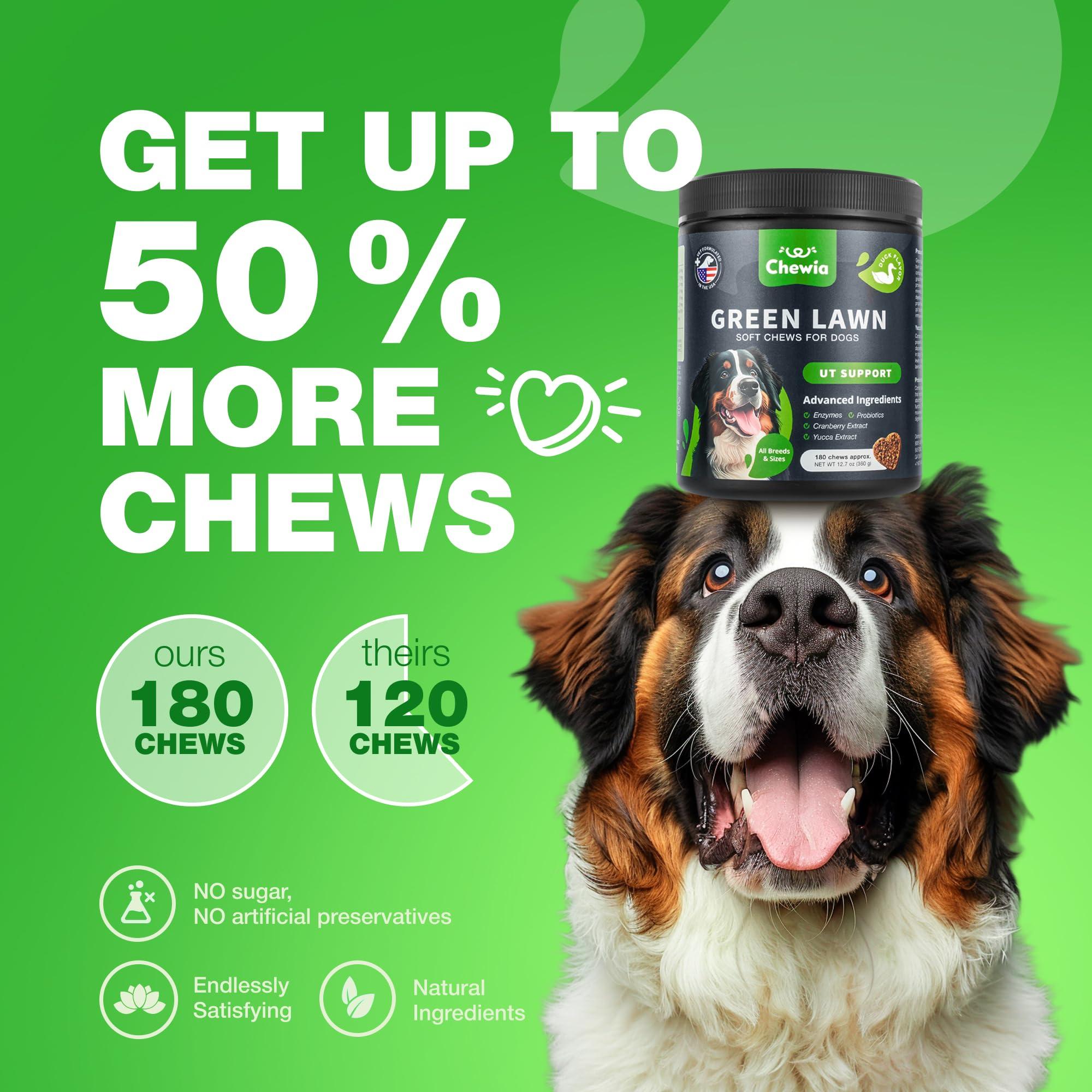 Grass Burn Spot Chews for Dogs Dog Urine Neutralizer for Lawn Grass Savers for Dog Urine Dog Pee Lawn Spot Saver Caused by Dog Urine Grass Treatment Rocks Probiotics Enzymes & Multivitamins