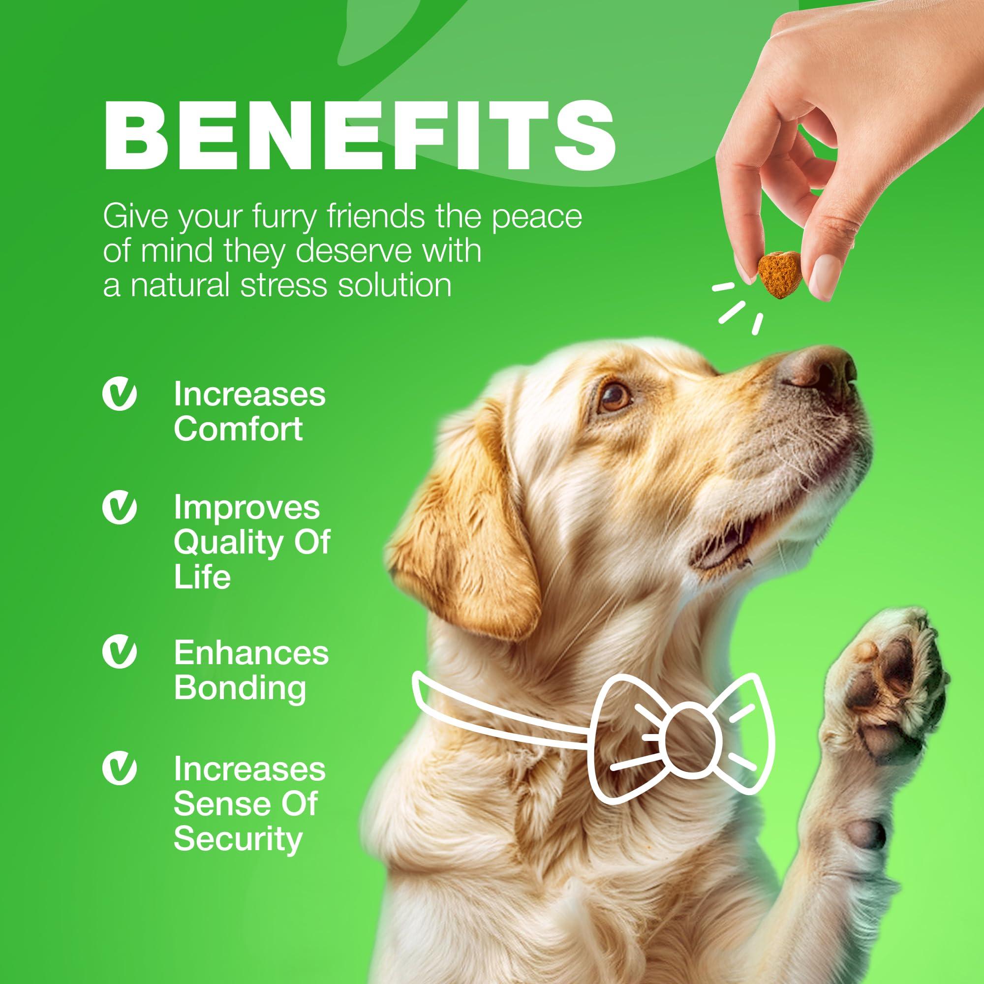 Grass Burn Spot Chews for Dogs Dog Urine Neutralizer for Lawn Grass Savers for Dog Urine Dog Pee Lawn Spot Saver Caused by Dog Urine Grass Treatment Rocks Probiotics Enzymes & Multivitamins