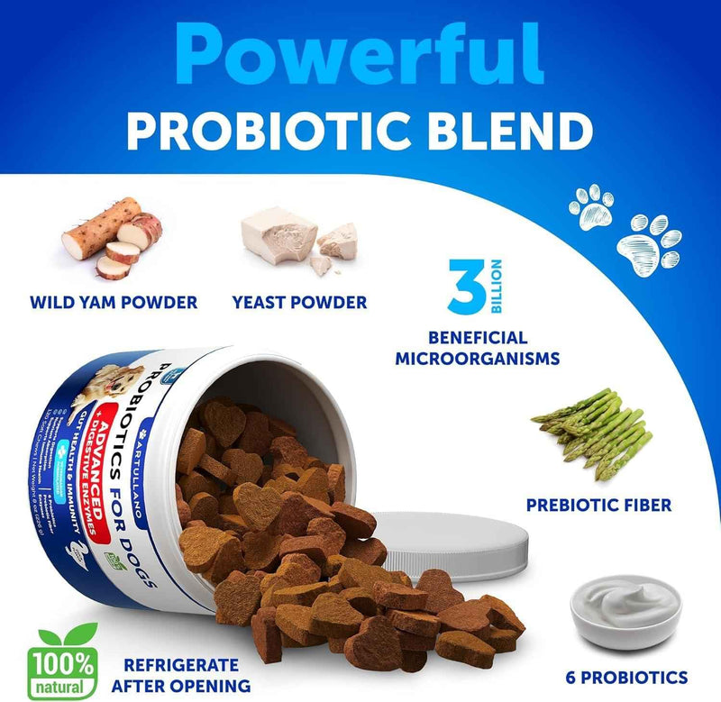 Probiotics for Dogs   Support Gut Health Itchy Skin Allergies Immunity Yeast Balance   Dog Probiotics and Digestive Enzymes with Prebiotics   Reduce Diarrhea Gas   120 Probiotic Chews for Dogs