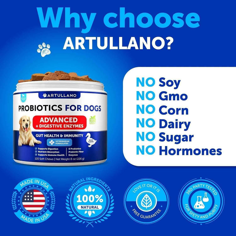 Probiotics for Dogs   Support Gut Health Itchy Skin Allergies Immunity Yeast Balance   Dog Probiotics and Digestive Enzymes with Prebiotics   Reduce Diarrhea Gas   120 Probiotic Chews for Dogs