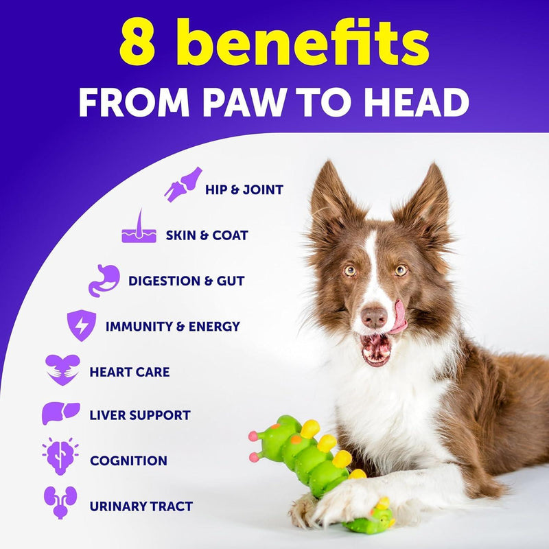 Dog Multivitamin Chewable with Glucosamine 20 in 1   Dog Vitamins and Supplements   Senior & Puppy Multivitamin for Dogs…