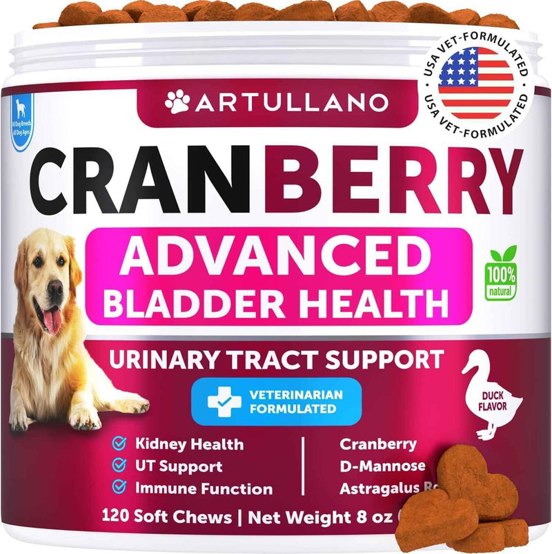 Dog UTI Treatment   Cranberry Supplement & Bladder Control for Dogs   Urinary Tract Infection Incontinence Pill Bladder Stones   UTI Medicine Treats   120 Soft Chews for Kidney Support with Fish Oil