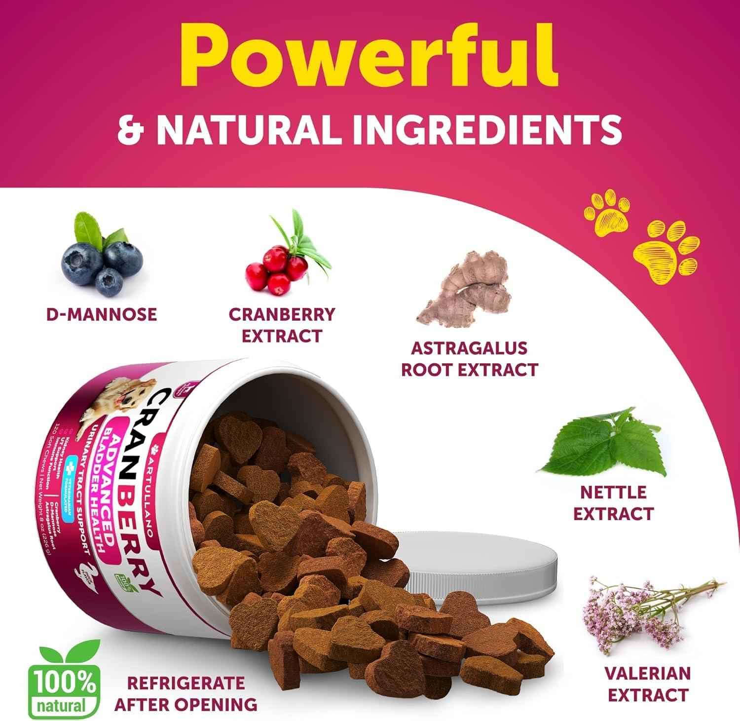 Dog UTI Treatment   Cranberry Supplement & Bladder Control for Dogs   Urinary Tract Infection Incontinence Pill Bladder Stones   UTI Medicine Treats   120 Soft Chews for Kidney Support with Fish Oil