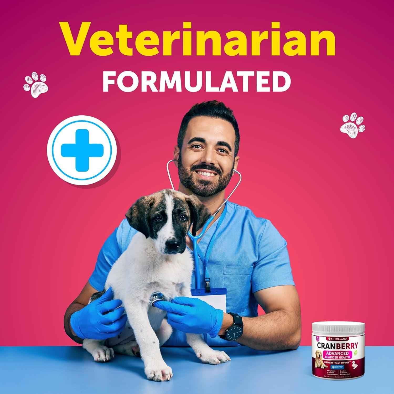 Dog UTI Treatment   Cranberry Supplement & Bladder Control for Dogs   Urinary Tract Infection Incontinence Pill Bladder Stones   UTI Medicine Treats   120 Soft Chews for Kidney Support with Fish Oil