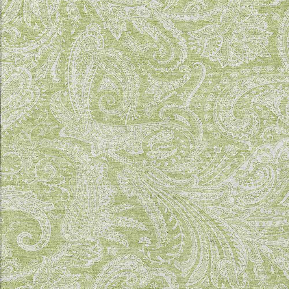 3' X 5' Green And Ivory Paisley Washable Indoor Outdoor Area Rug