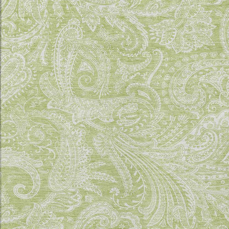 3' X 5' Green And Ivory Paisley Washable Indoor Outdoor Area Rug